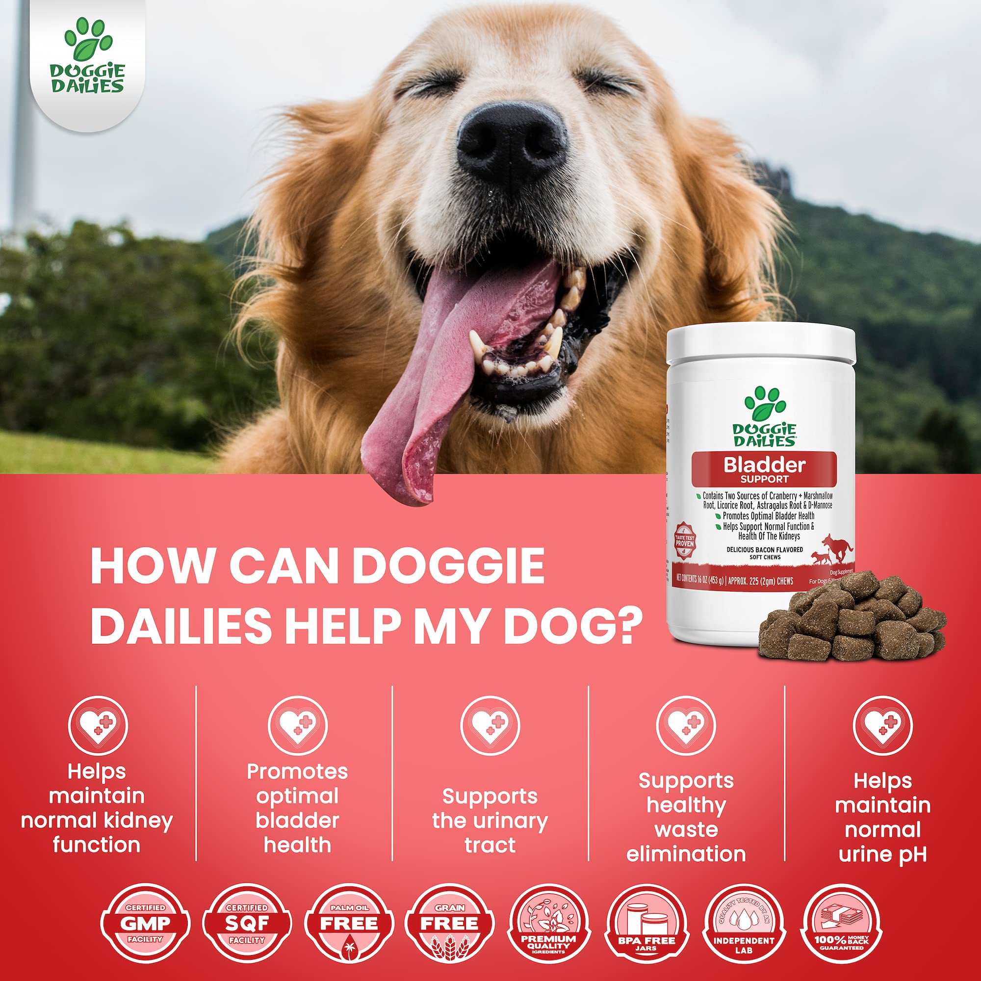 Doggie Dailies Cranberry Supplement for Dogs, 225 Soft Chews, Urinary Tract, Bladder & Kidney Support for Dogs, Cranberry for Do