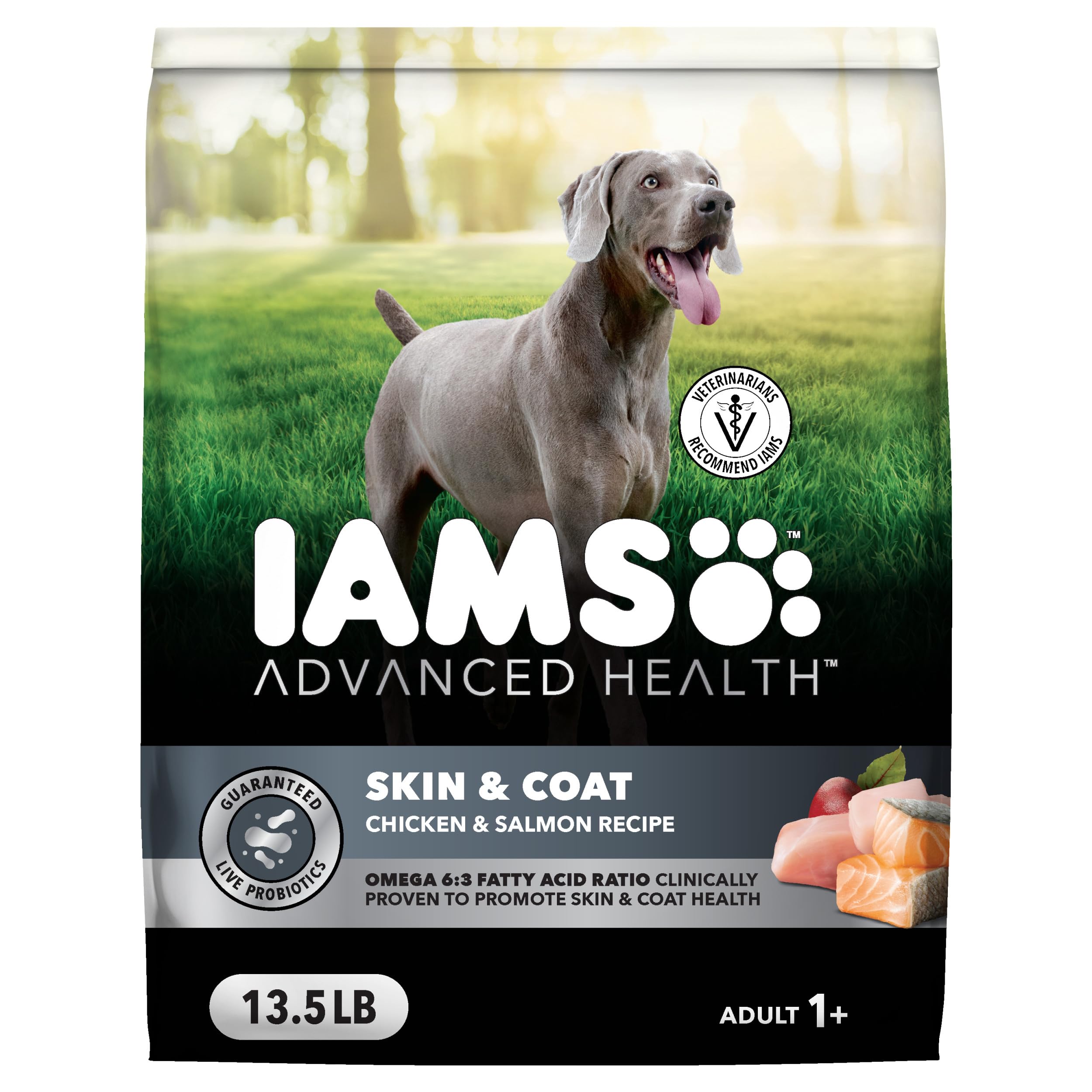 IAMS Advanced Health Skin & Coat Chicken and Salmon Recipe Adult Dry Dog Food, 13.5 lb. Bag