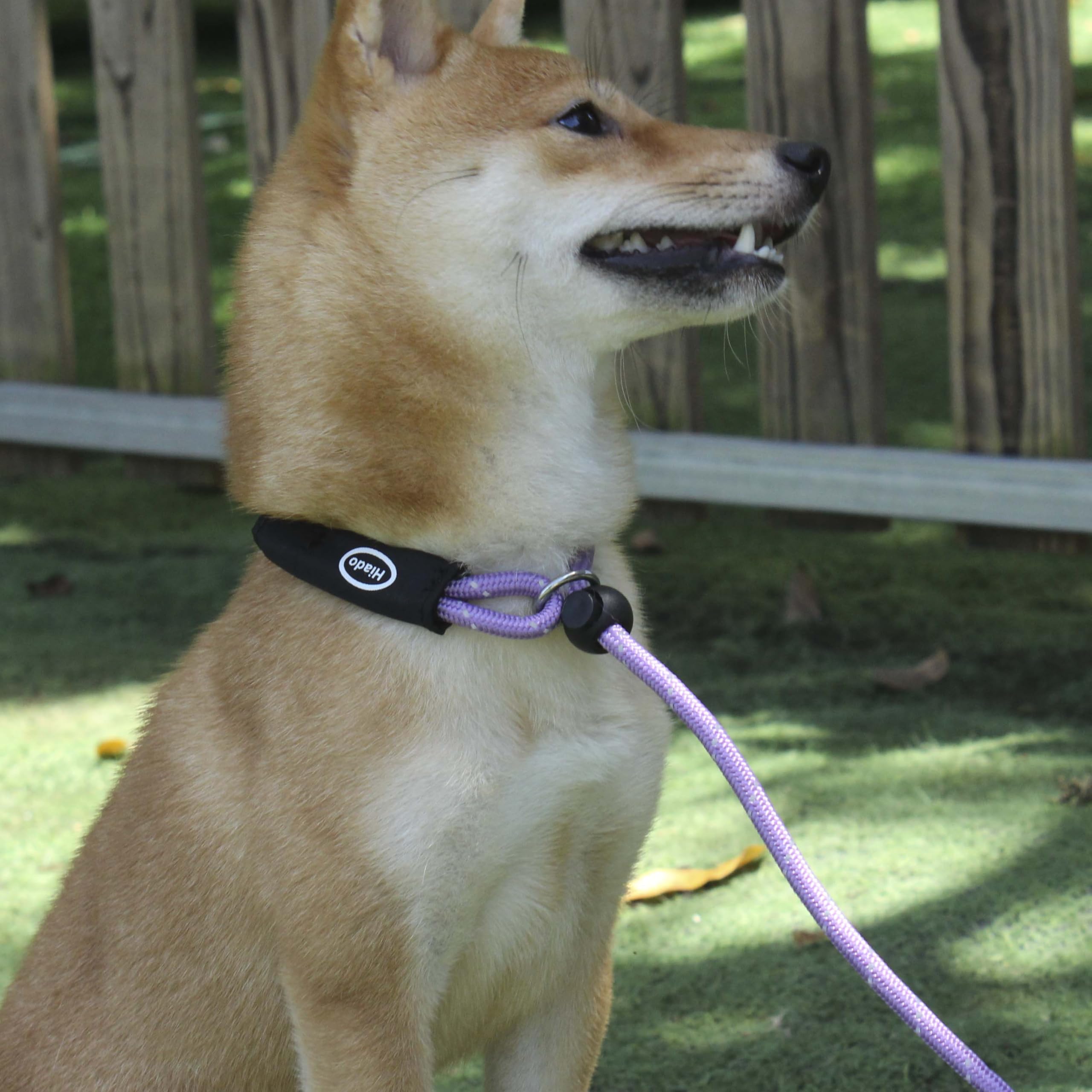 Hiado Slip Lead Dog Leash Reflective Soft With Stopper Loop Rope Training No Pull For Small Medium Dogs 5Ft Lavender