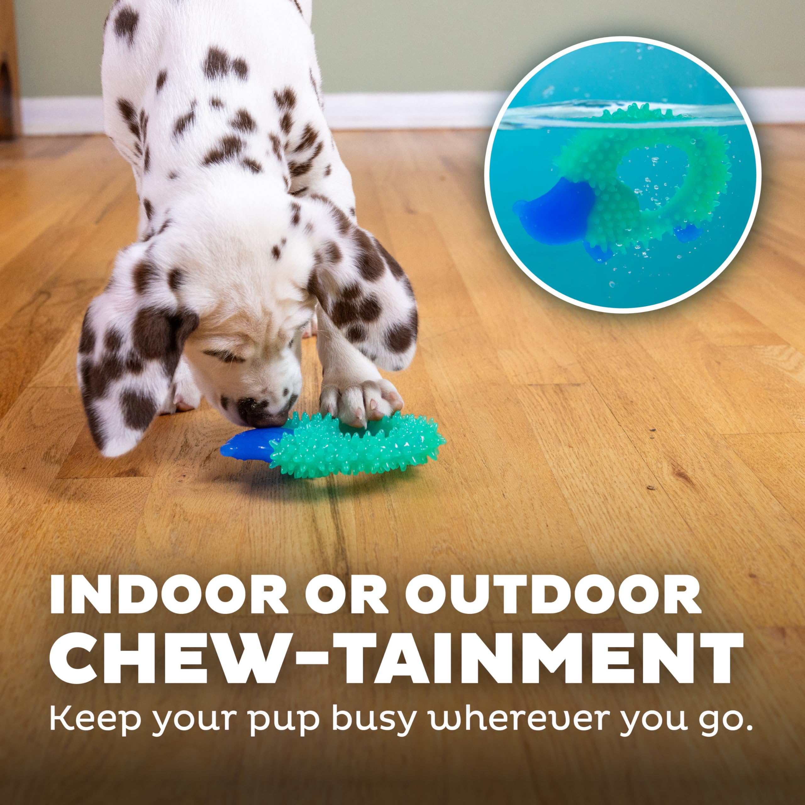 Outward Hound Cutie Chewies Hedgehog Dental Dog Chew Toy, Blue