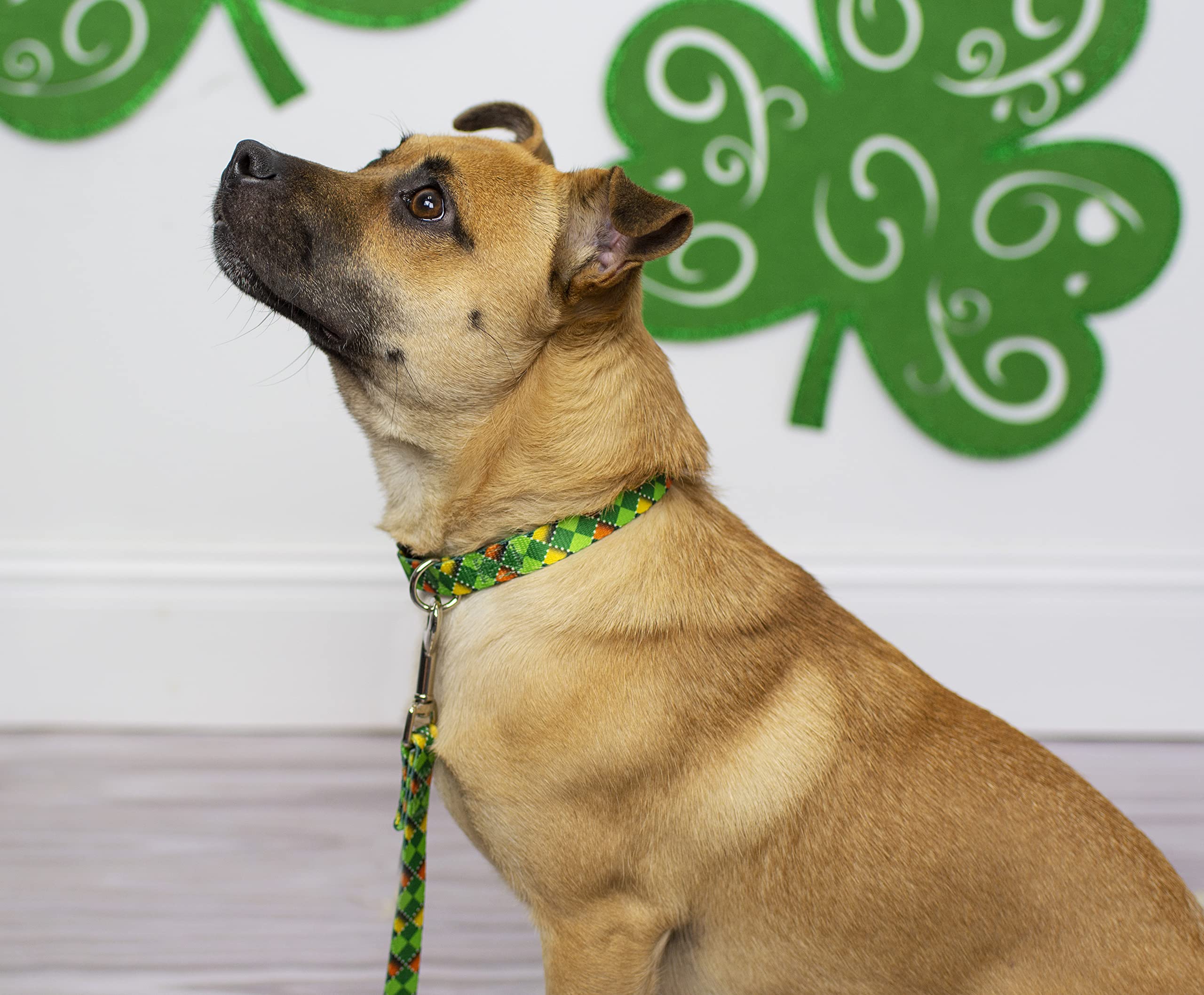 Country Brook Petz - Premium Limerick Argyle Dog Collar - Irish Pride Collection Featuring Lucky Designs (1 Inch, Large)