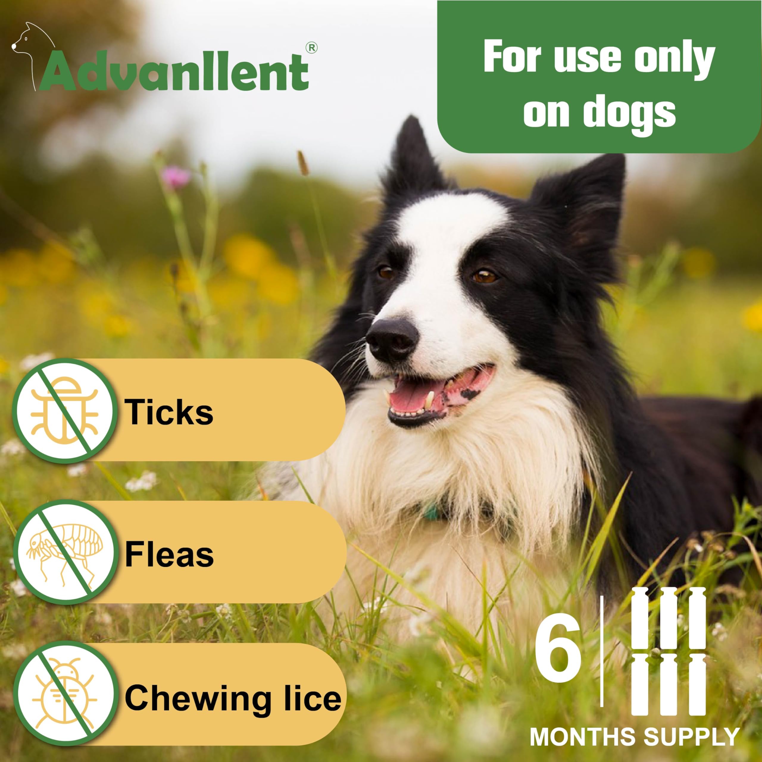 Advanllent Flea and Tick Prevention for Dogs, Flea and Tick Treatment for Medium Dog, Flea & Tick Control, 23-44 Pounds, 6 Doses