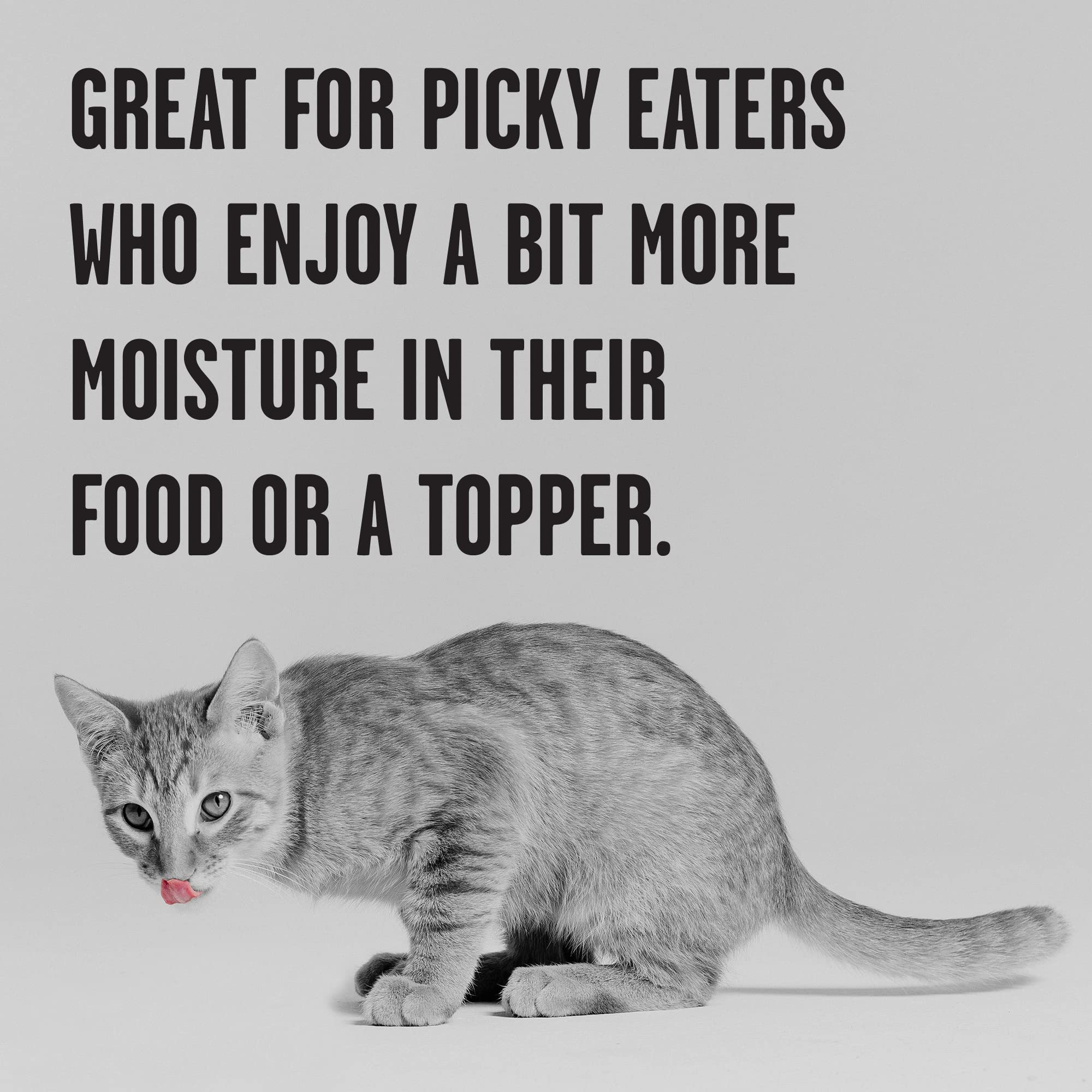 BIXBI Rawbble Chicken Pate Recipe for Kittens Cans - Grain Free, Protein Rich Wet Kitten Food-(2.75 Ounce Cans, Case of 24)