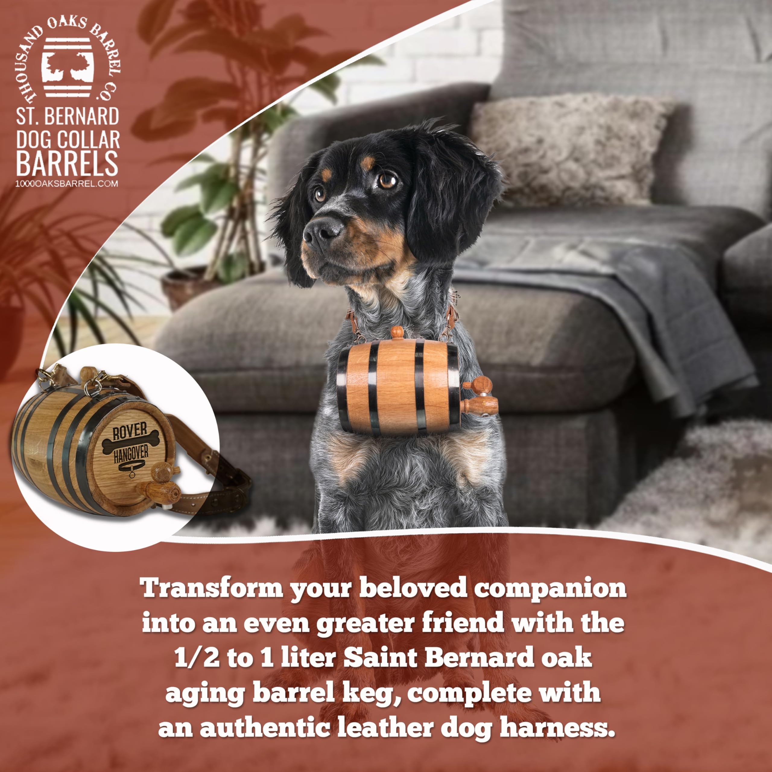 St. Bernard Dog Collar Rescue Barrel, With Engraved Design 'Rover Hangover' (1/2 Liter Size Oak Mini Keg With Black Hoops For Sa