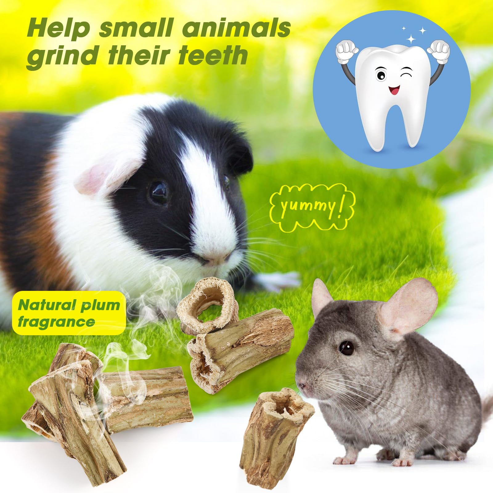 Abizoo Natural Bunny Chew Toys,6 Pcs Organic Papaya Wood Sticks Chew Toys for Rabbit,Hamster,Guinea Pig,Chinchilla,Gerbil,Rat He