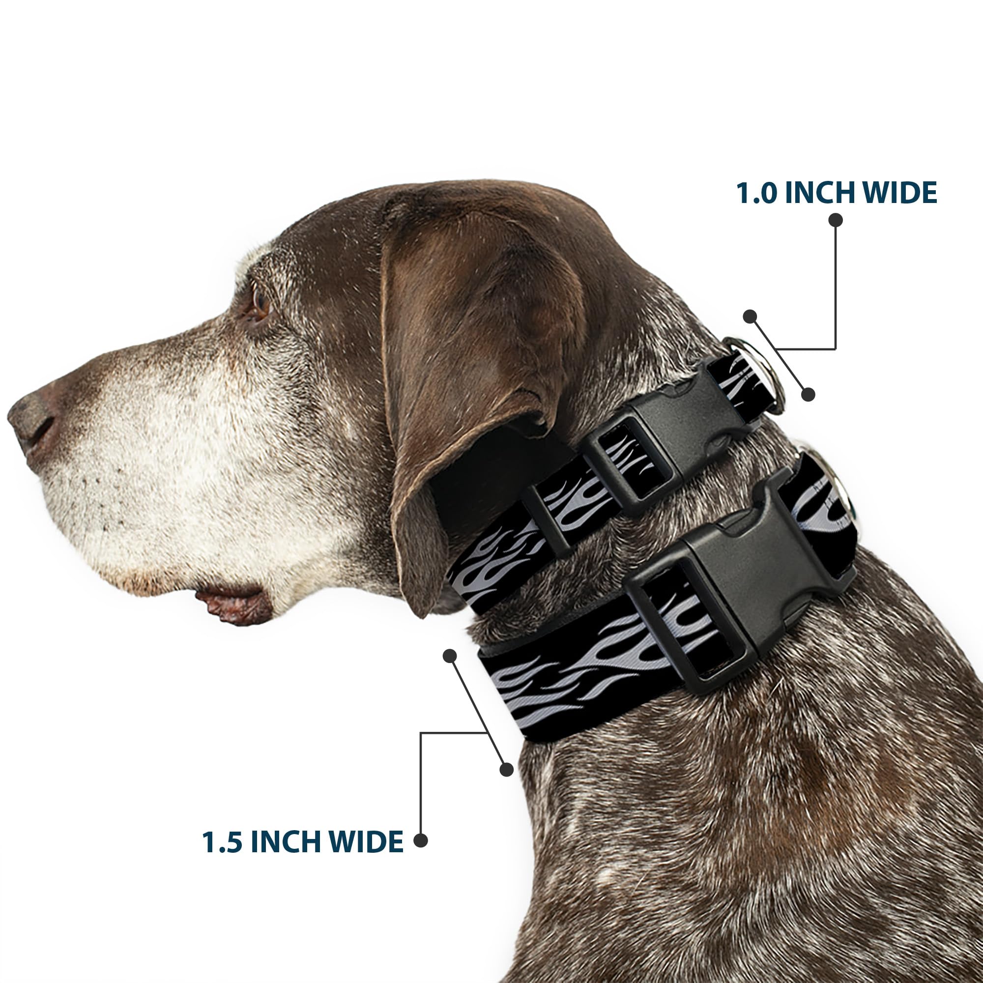 Buckle-Down Plastic Clip Collar - Flame Silver - 1.5'' Wide - Fits 13-18'' Neck - Small