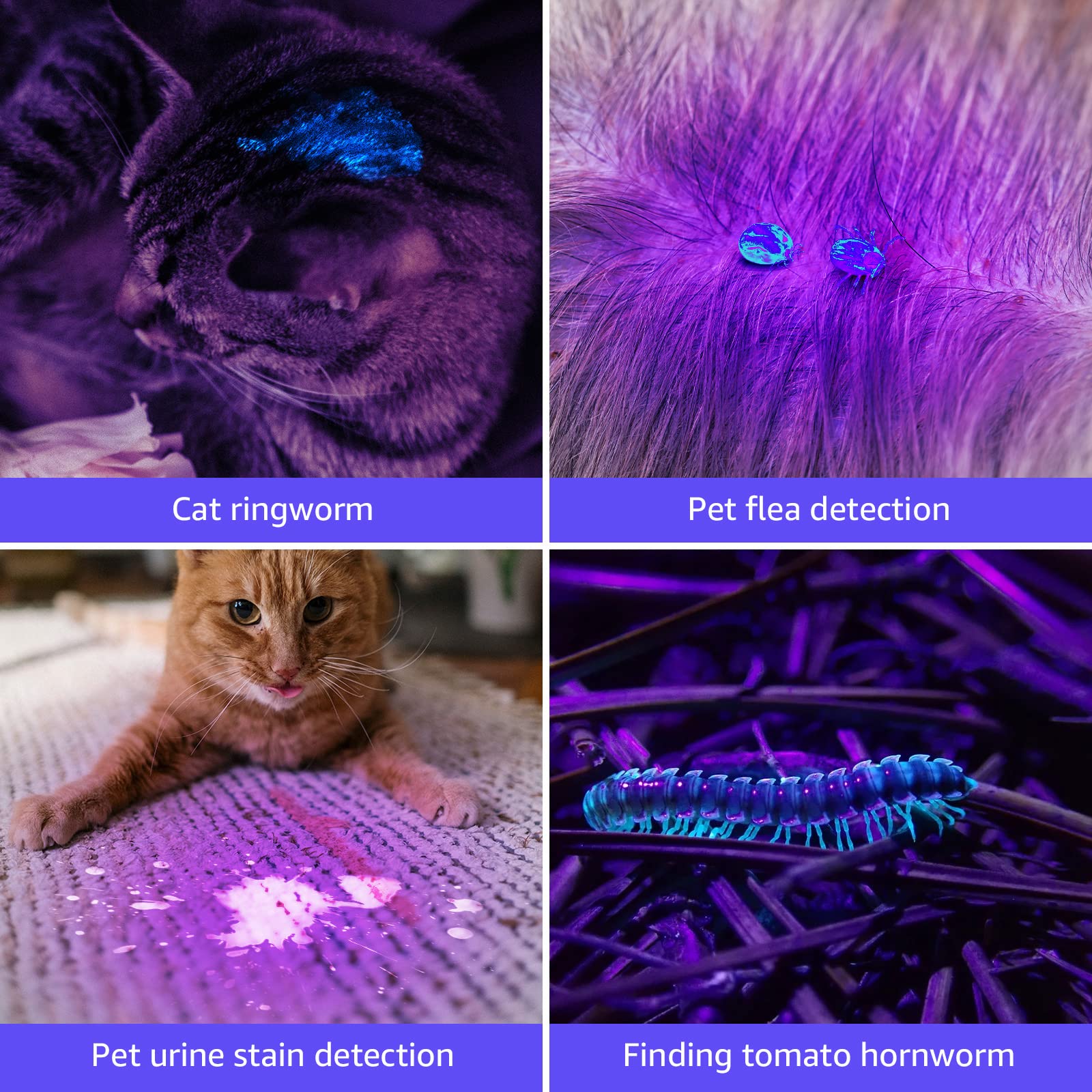 Le Black Light Flashlight, Small Uv Lights With 21 Leds, 395Nm, Ultraviolet Light Detector For Invisible Ink Pens, Pet Dog Cat Urine Stain And More, Aaa Batteries Included