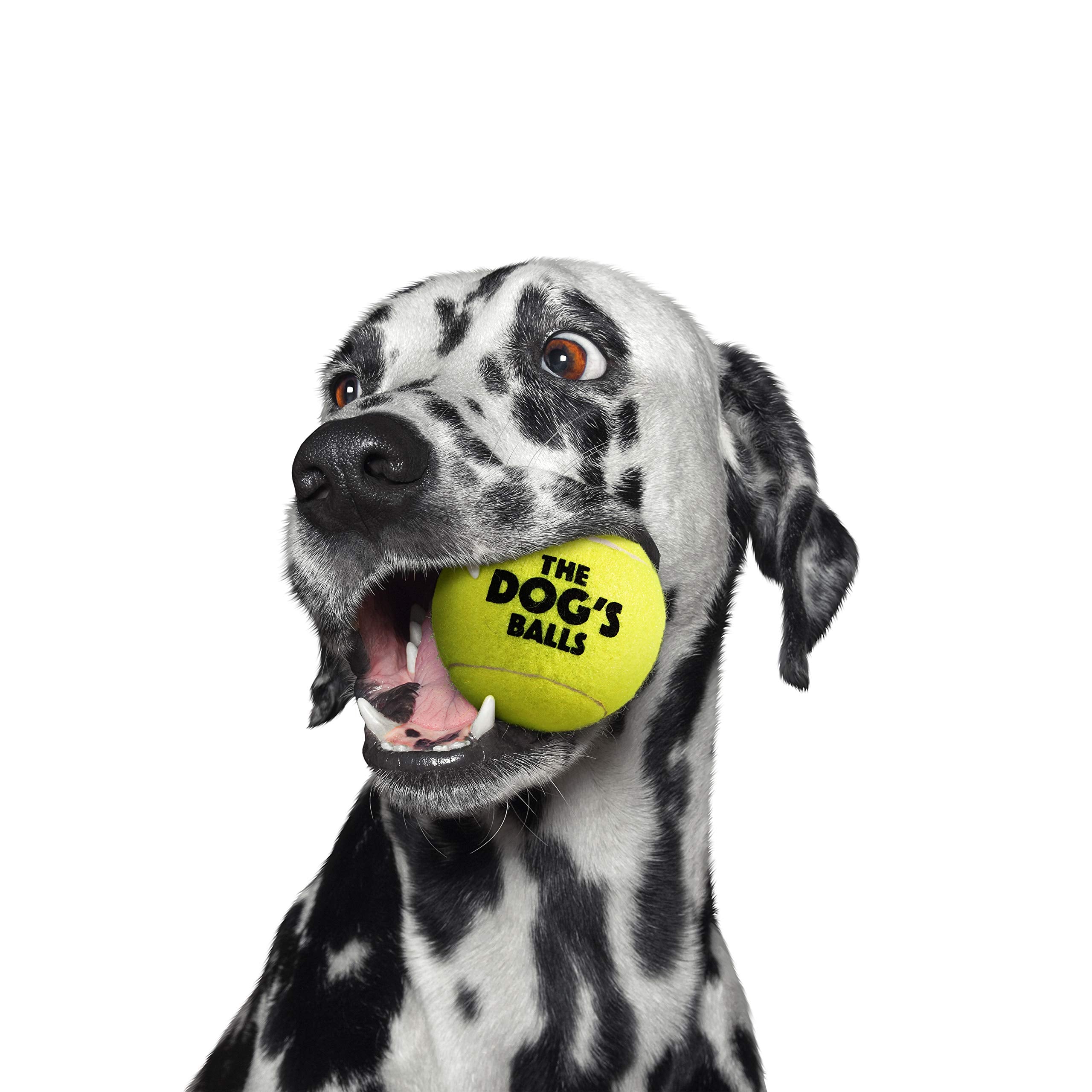The Big Dog's Balls, Dog Tennis Balls, 3-Pack Yellow, 3 Inches Diameter Dog Toy, Strong Dog & Puppy Ball for Training, Play, Exe