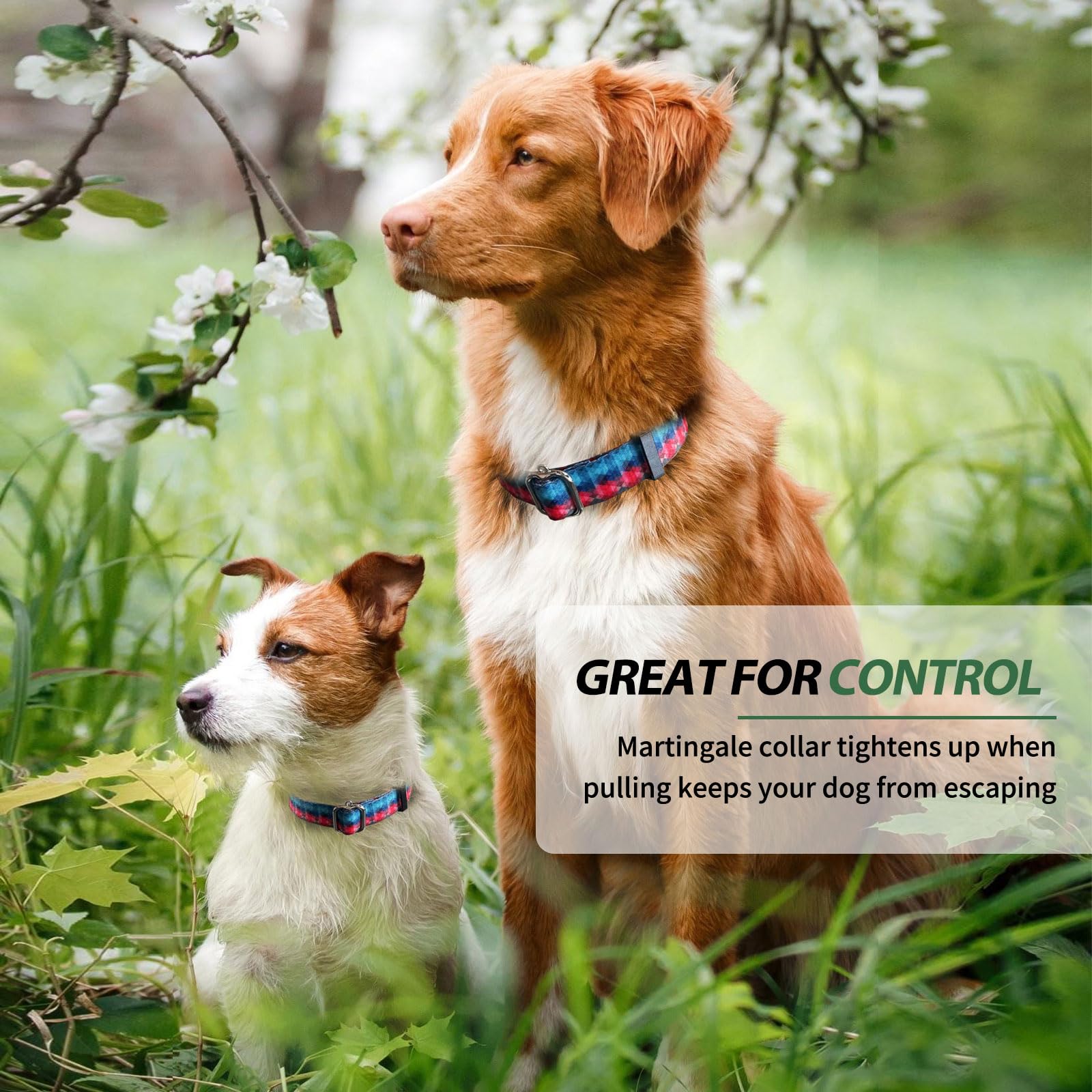 Hikiko Martingale Collar For Dogs With No Buckle Geometric Red Green Dog Collars For Medium Dogs,Gradient,M