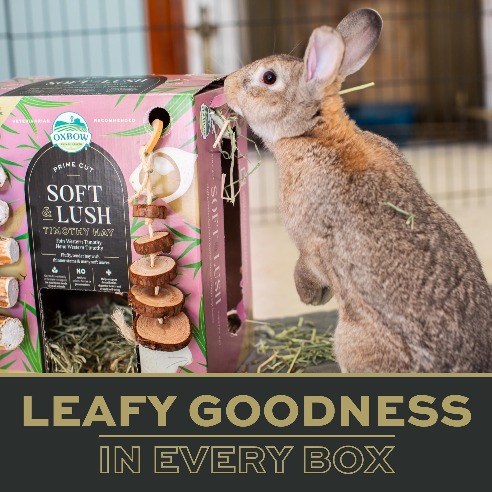 Oxbow Prime Cut Soft & Lush Timothy Hay, Premium Rabbit & Guinea Pig Hay, High Fiber Small Pet Food for Rabbits, Bunnies, Guinea