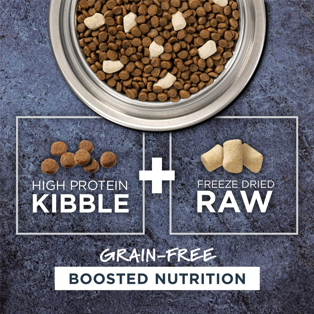 Instinct Raw Boost Grain Free Recipe with Real Chicken Natural Dry Cat Food, 5 lb. Bag