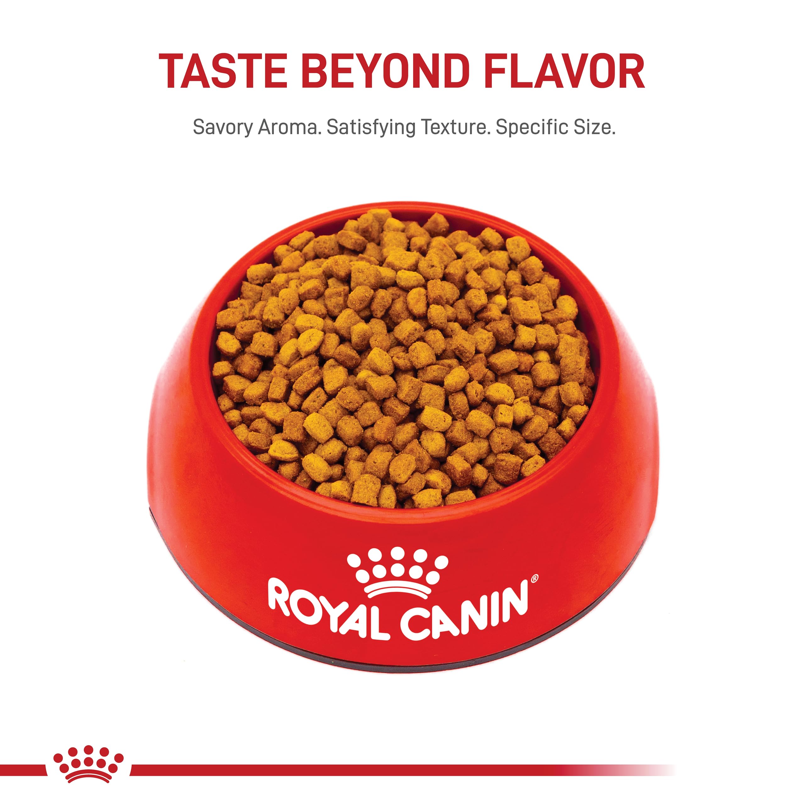 Royal Canin Dachshund Puppy Breed Specific Dry Dog Food, 2.5 lb bag