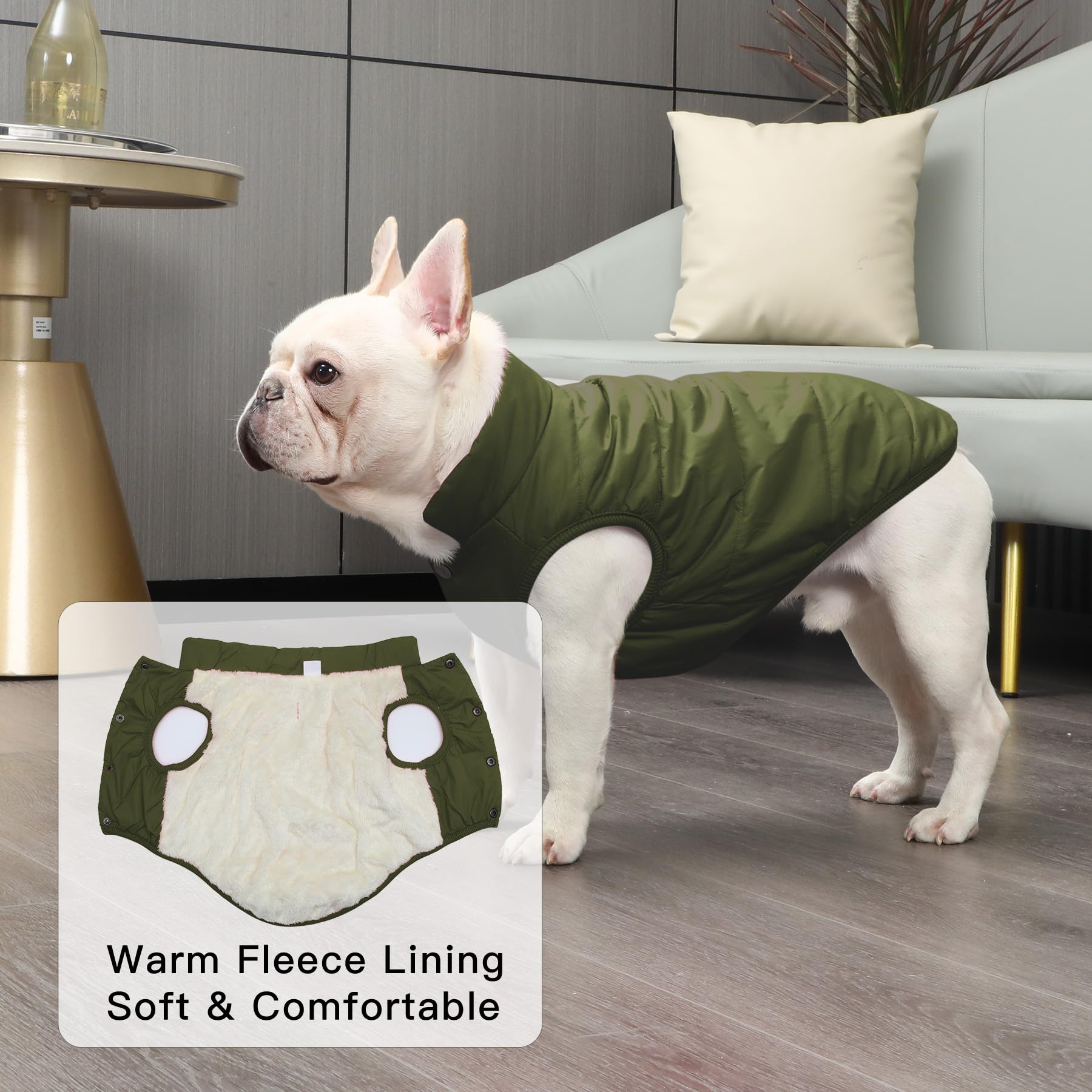 JoyDaog Fleece Lined Dog Jacket - Warm, Windproof, Small Size, Green