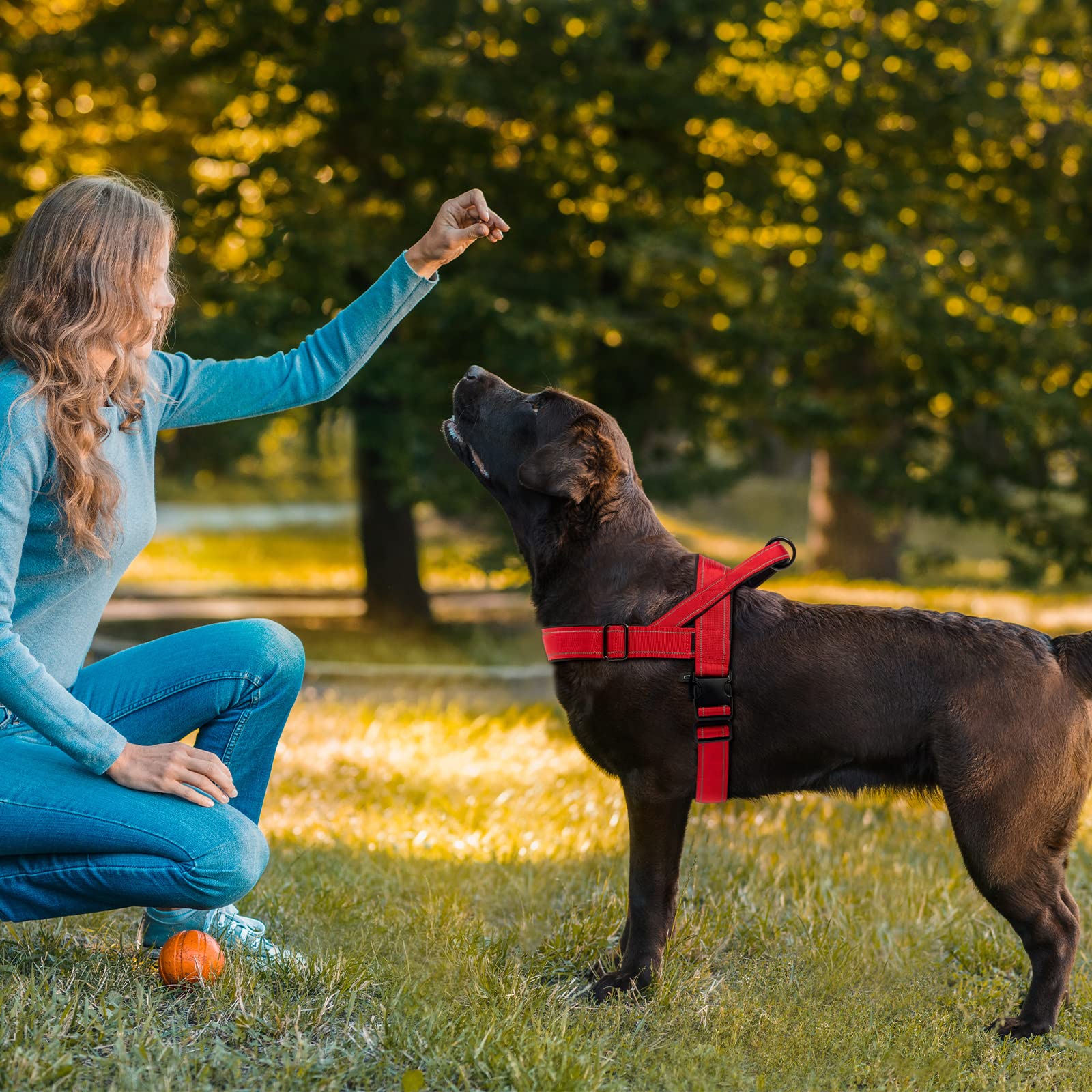 Qifbyfb Dog Harness, No Pull Dog Harnesses For Small Medlium Large Dogs Escape Proof Reflective With Comfortable Handle(Red, Xl)