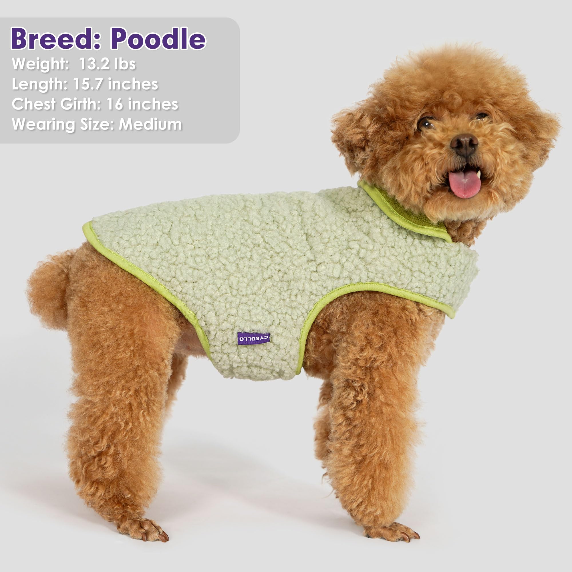 cyeollo Warm Dog Coat Fleece Sherpa Jacket Vest, Large, Green, Soft Reversible, Turtleneck, Leash Hole for Cold Weather