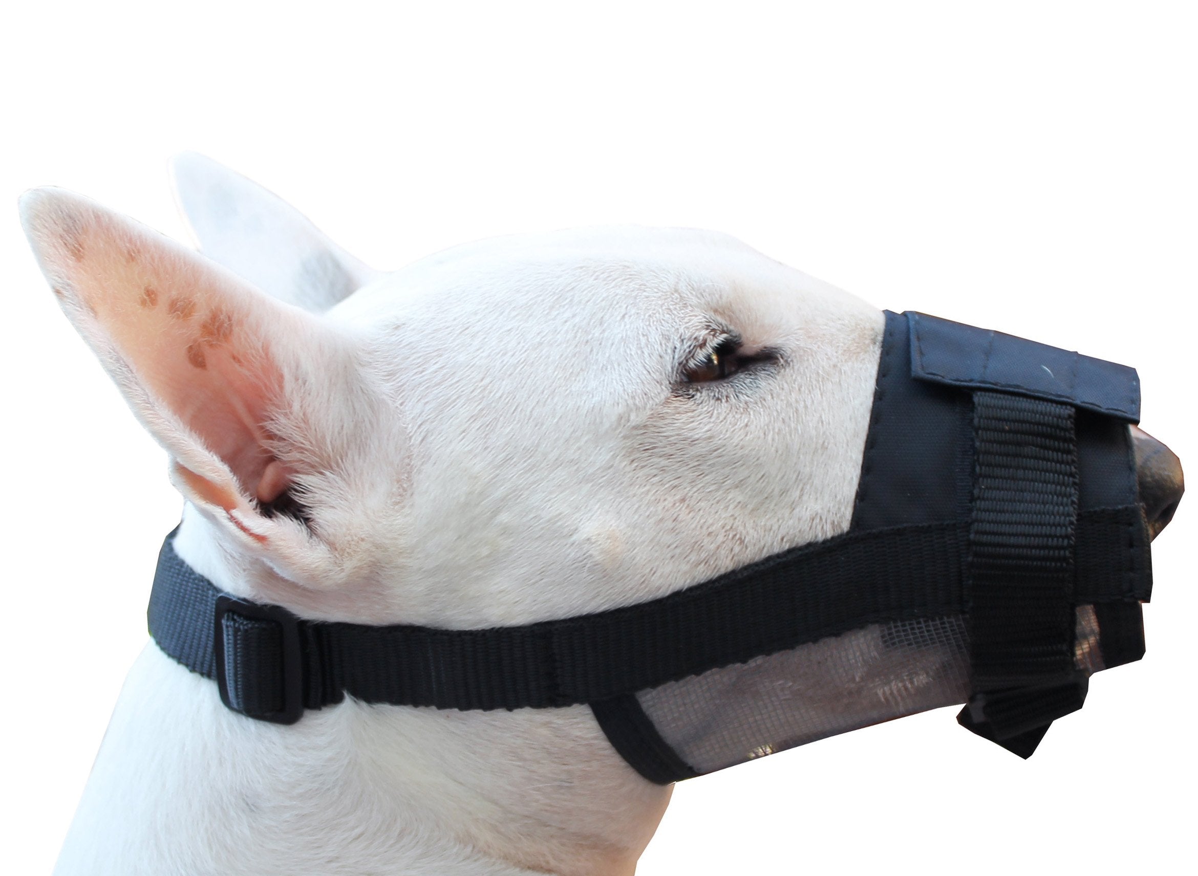 Adjustable Nylon Dog Grooming Muzzle (Large: 10'-13.5' Snout)