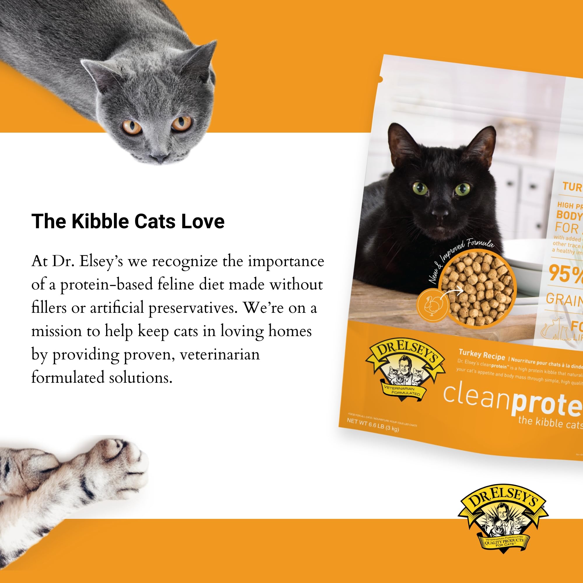 Dr. Elseys Clean Protein Turkey Dry Cat Food - Cat Kibble Dry Food for All Cats -Protein-Rich Healthy Cat Food w/Natural Ingred