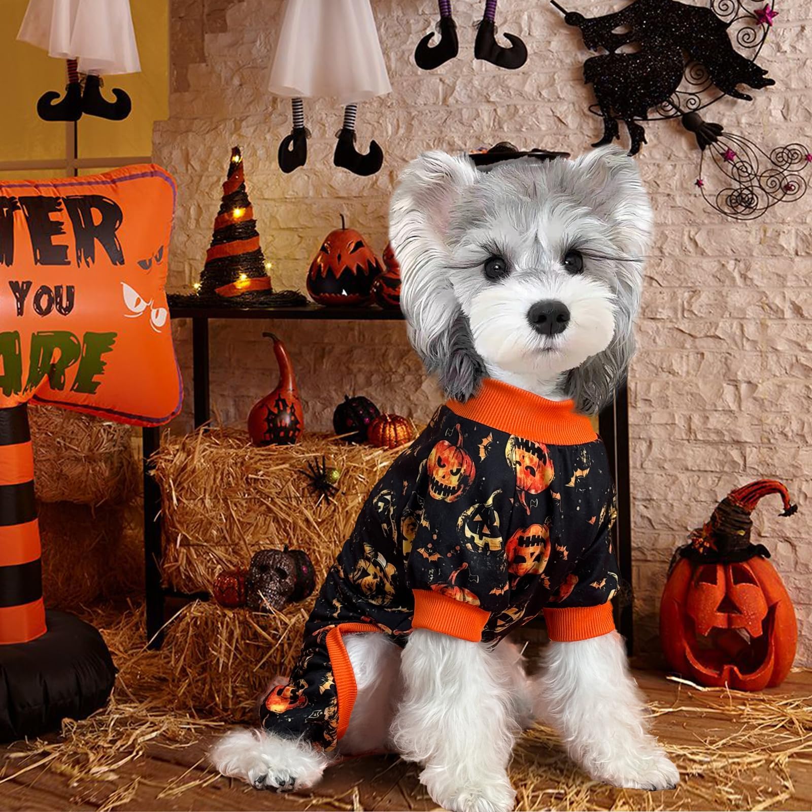 Xpudac Halloween Dog Pajamas Costume For Small Medium Dogs Pumpkin Clothes Soft Puppy Pjs Pet Outfit, Medium