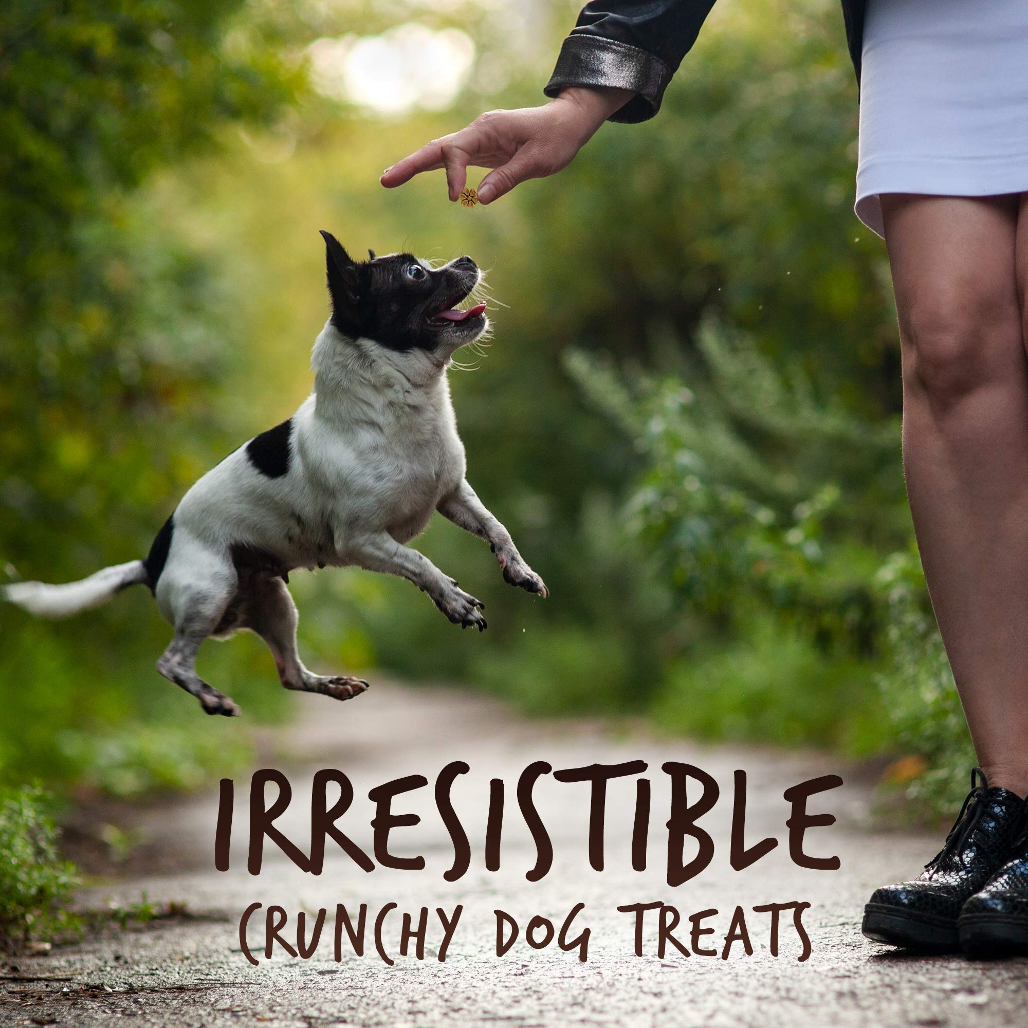 Fruitables Skinny Mini Dog Treats ?Grilled Bison ?Dry Biscuit ?12Oz
