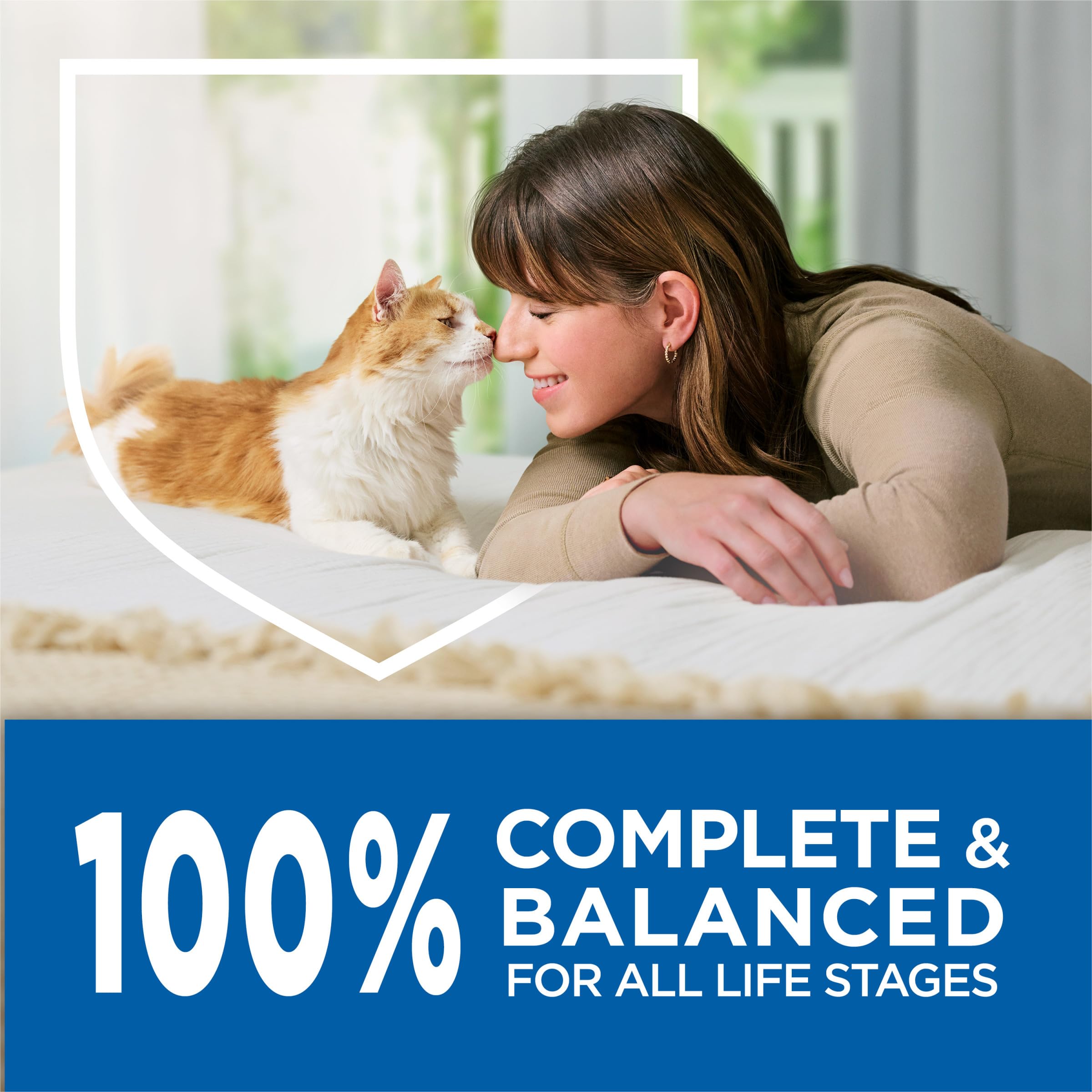 Purina Cat Chow Complete High Protein With Salmon Cat Food Dry Formula - (Pack of 4) 3.15 lb. Bags