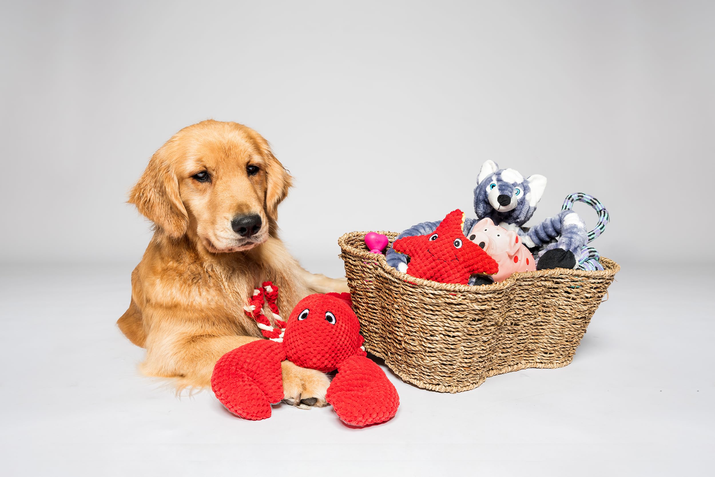 Dog Toy Basket, Bone Shaped Dog Toy Bin, Handmade Pet Organizer And Storage, Toy Box for Cats, (17x13 Seagrass)