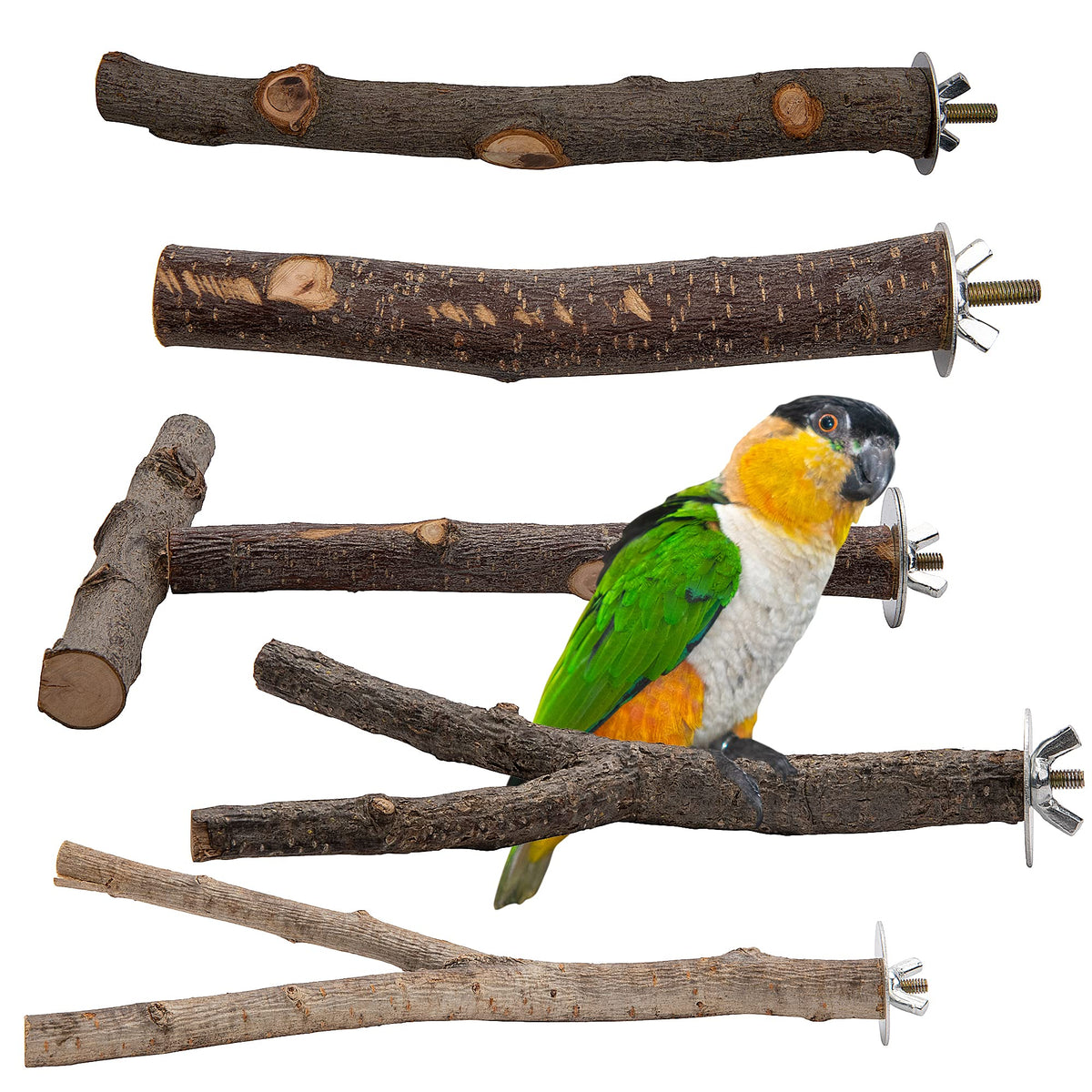 Ebaokuup 5Pcs Natural Wood Bird Perches For Parrot - Wooden Bird Parrot Stand Branches Parakeet Cage Perch Accessories For Small