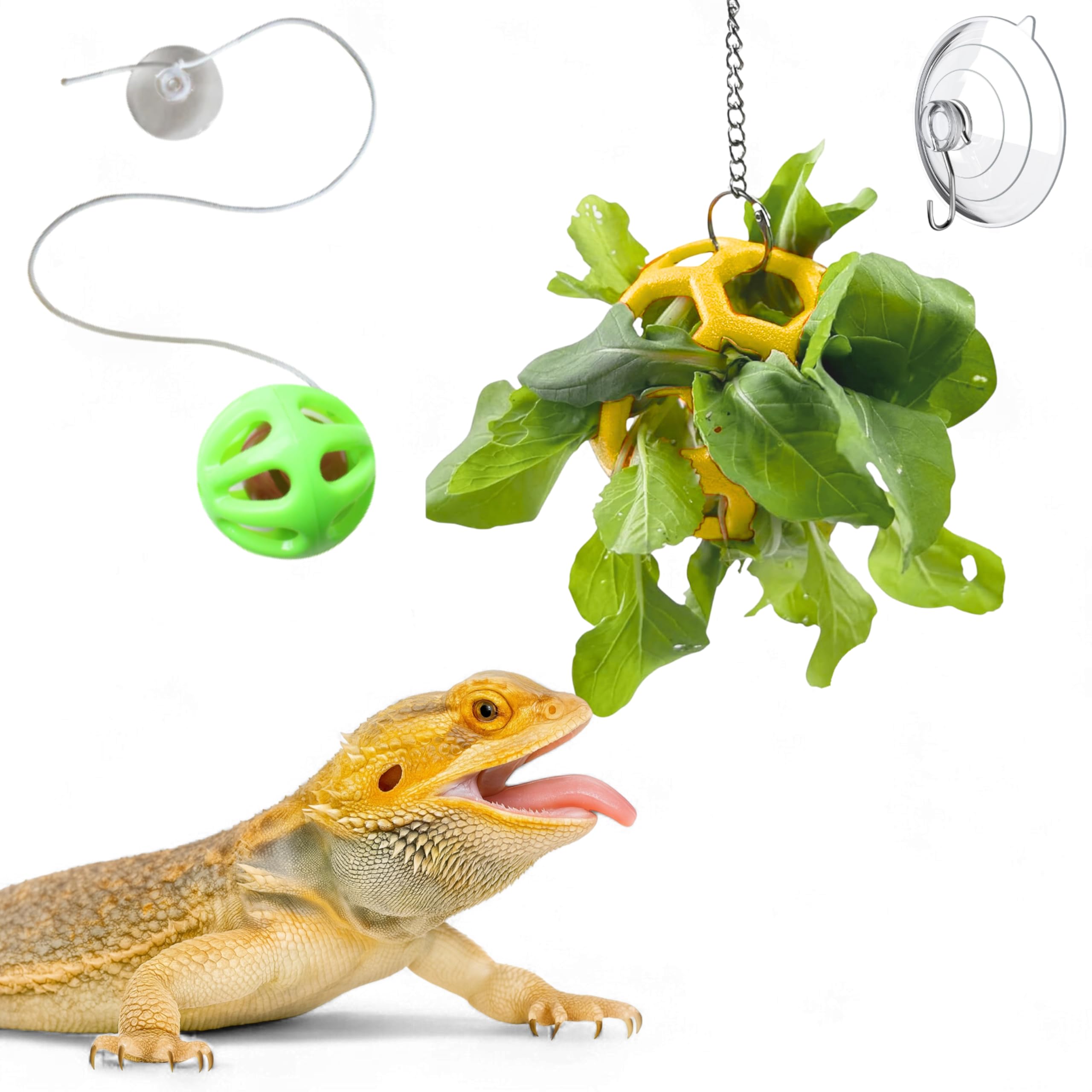 Bearded Dragon Enrichment Toys Feeder Ball, Interactive Feed Toys Bells Exercise Ball for Reptile Lizard Gecko Small Animals, Be