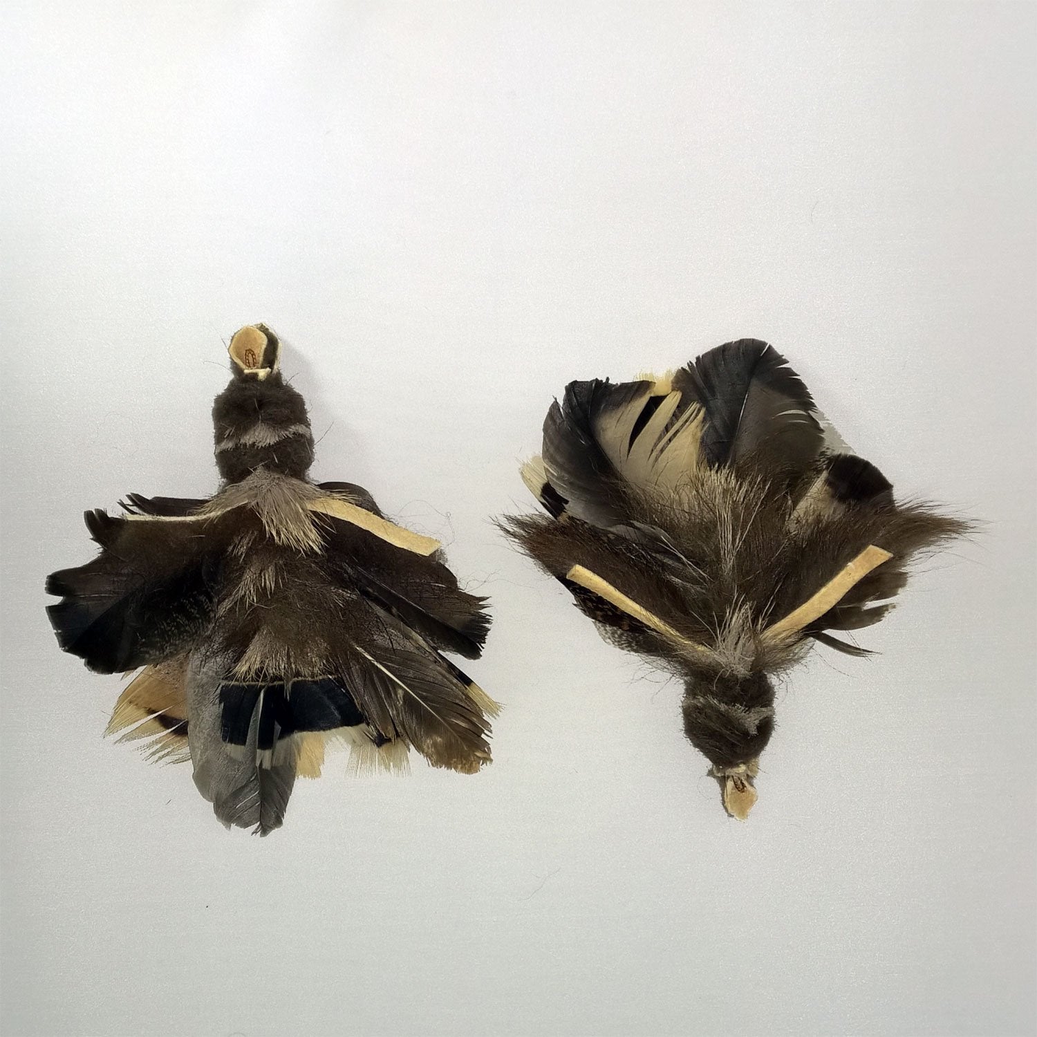 Big Sky Cats Golden Eagle Bird Refill/Attachment - Fits Wildcat And Popular Bird And Mouse Type Wands/Poles