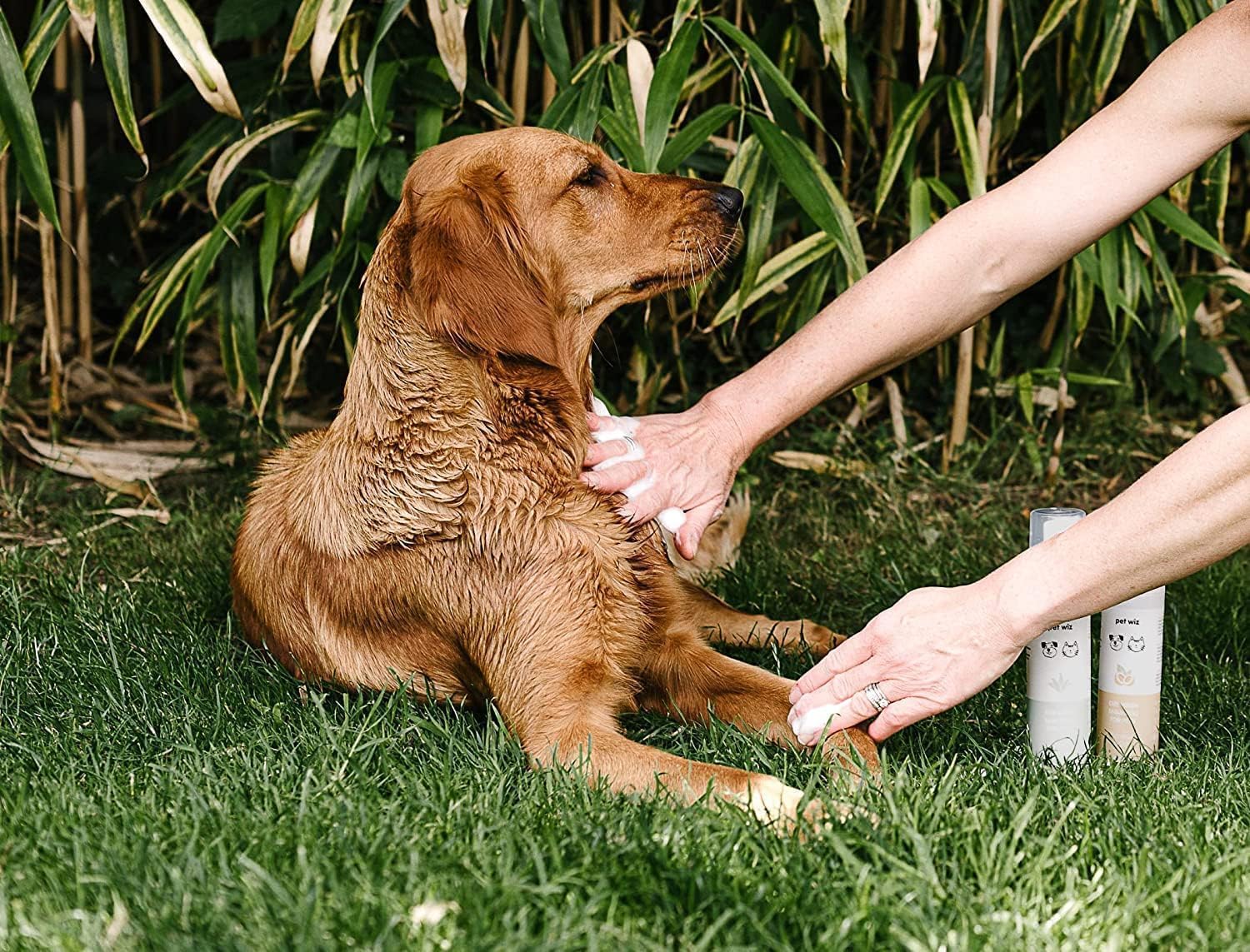 Dry Wash Shampoo For Pets - Soothing & Deodorizing, Natural Ingredients, Quick Drying & No Rinsing Required (Aloe & Oat)