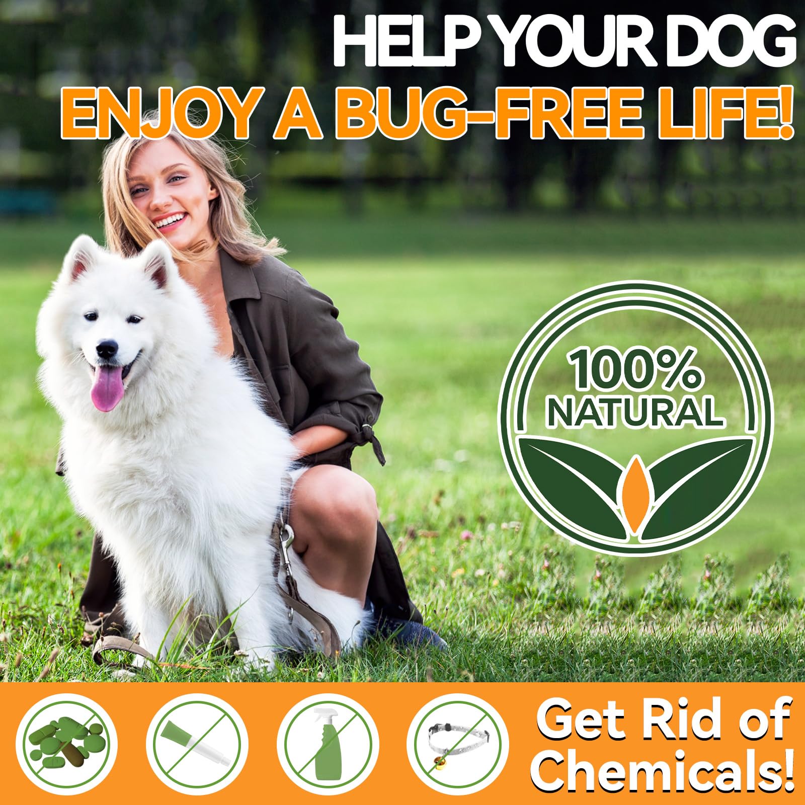 Carmelie Flea and Tick Prevention for Dogs - 200 Soft Chewables Natural Dog Flea and Tick Support - Oral Flea Supplement for All