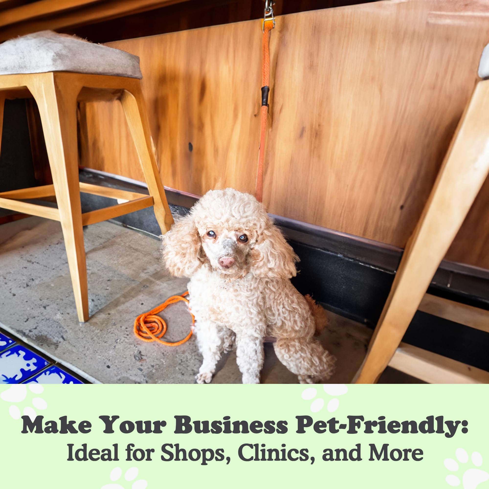 Canine Hitch- Secure Dog Leash Parking Wall Slim Hook With Clip 6 Pack - Tie Out Stainless Steel & Abs Mounting Plate For Streng