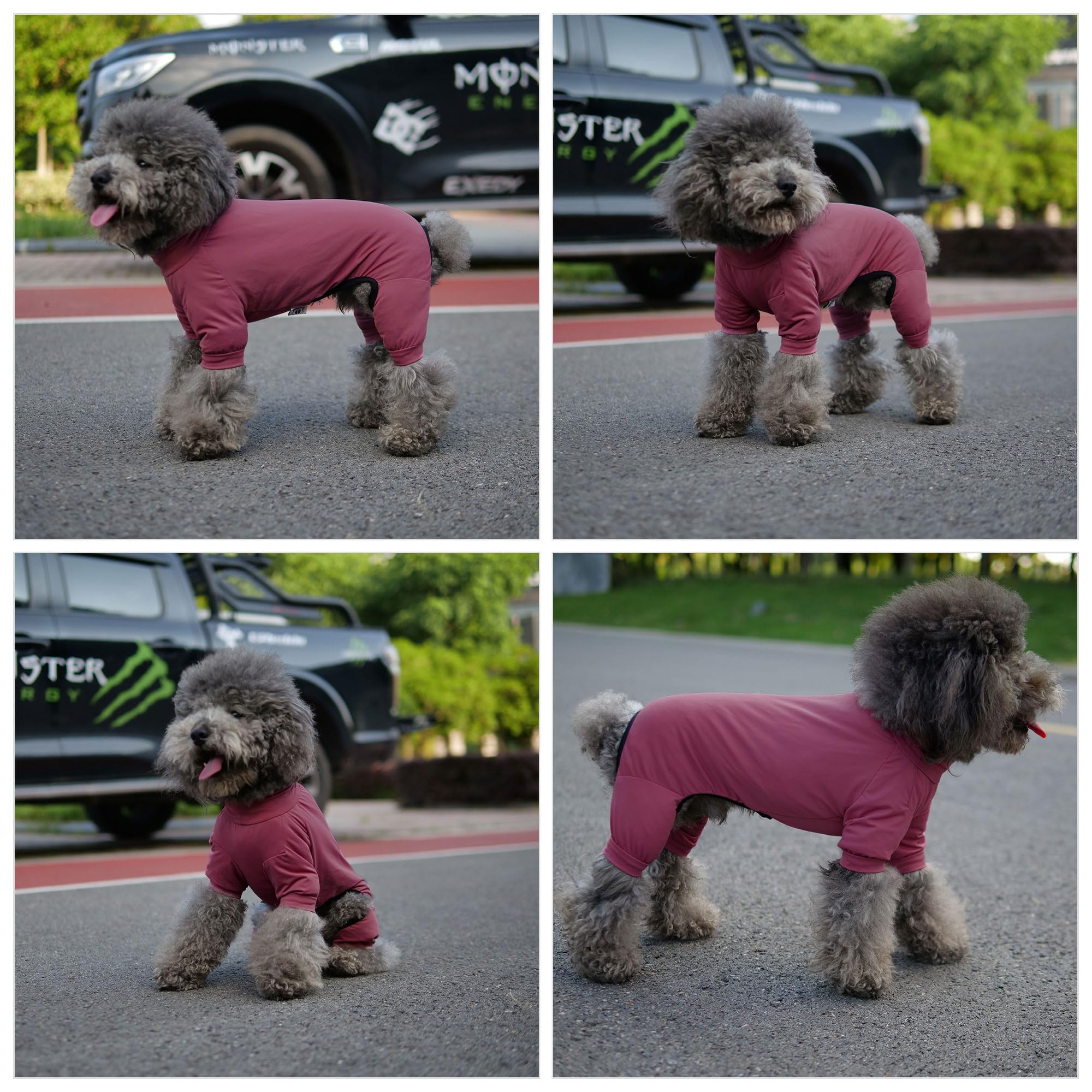 Lovelonglong Dog Jumpsuit With Uv Protection And Quick-Dry Fabric For Spring Summer Pet Pajamas Taro Purple L