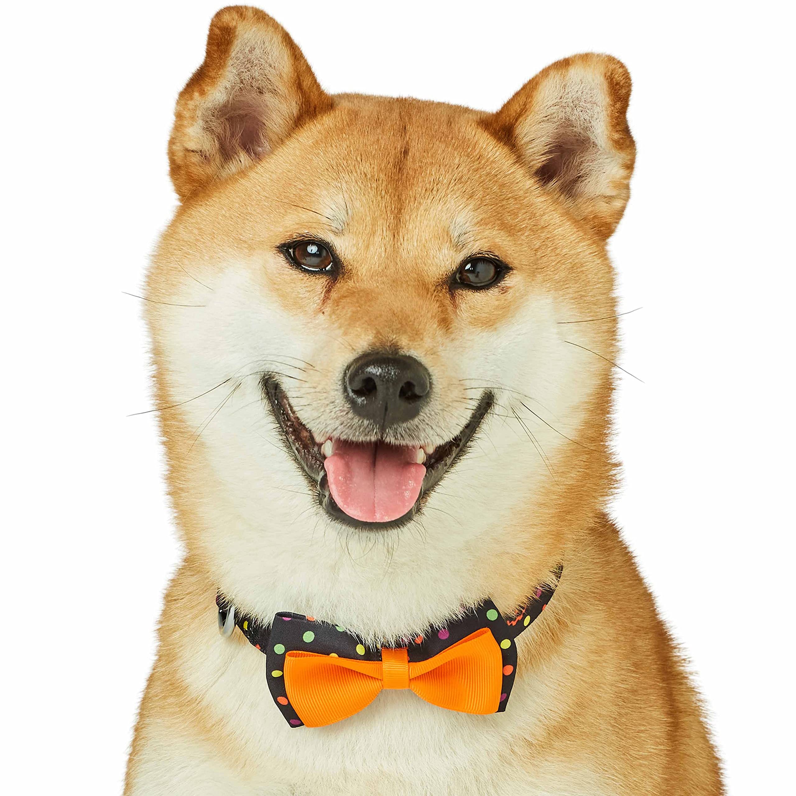 Blueberry Pet 2023 New Halloween Polka Dot Adjustable Dog Collar With Detachable Bowtie, Large, Neck 18''-26''