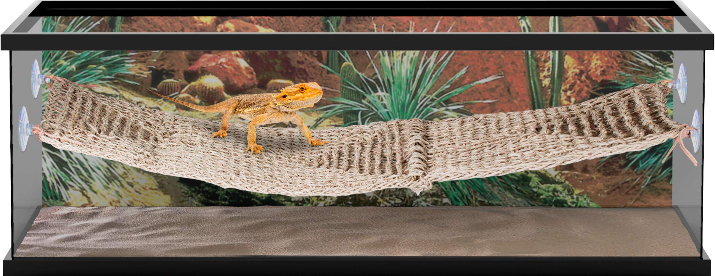 Penn-Plax Reptology Lizard Lounger Bridge – 100% Natural Seagrass Fiber – Great For Bearded Dragons, Anoles, Geckos, And Other Reptiles – Extra-Extra Large
