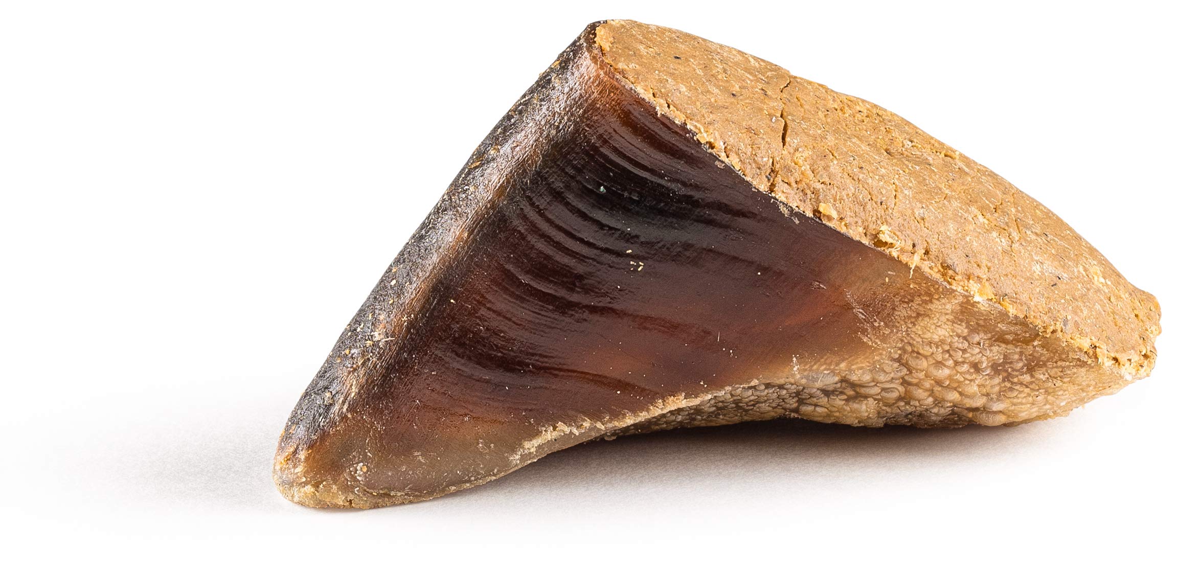 Jack&Pup Filled Cow Hooves for Dogs, Cow Hoofs for Dogs, Natural Dog Chews, Stuffed Bones (Bully Stick Flavor) 5 Pack