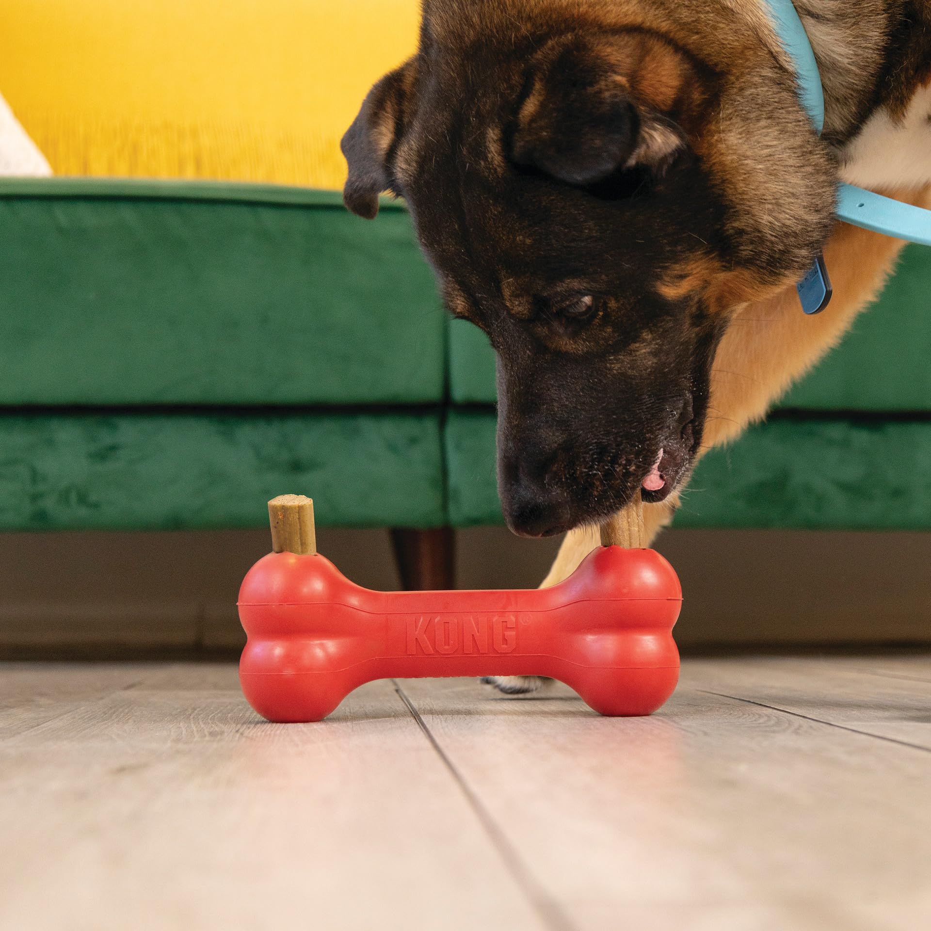 KONG Ziggies Enhanced Teeth Cleaning Dog Treats - Can Be Used Rubber Classic Toys (Medium/Large)