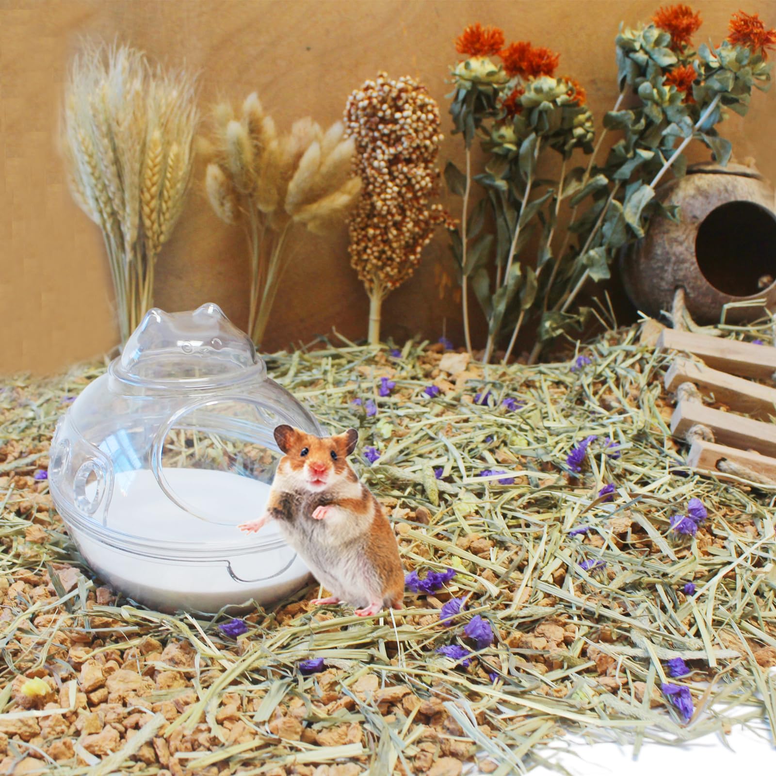 Jfwod Hamster Bath Sand, 3Lb Dust Free Desert Sand Or Potty Litter Sand For Hamster Chinchillas Gerbil Syrian Mice Small Animals