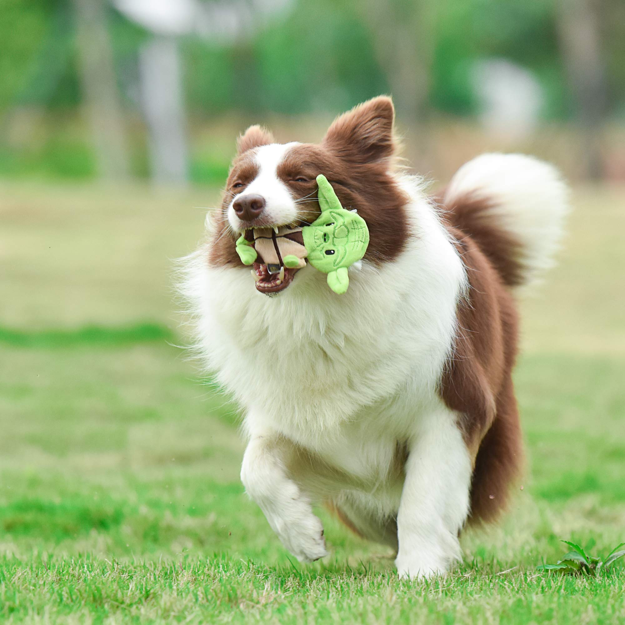 Star Wars Dog Toy Yoda 6 Inch Plush Flattie Dog Toy | Small Yoda Dog Toy, Small Dog Chew Toy For All Dogs | Flat Dog Toy, Stuffingless Dog Toy For Pets