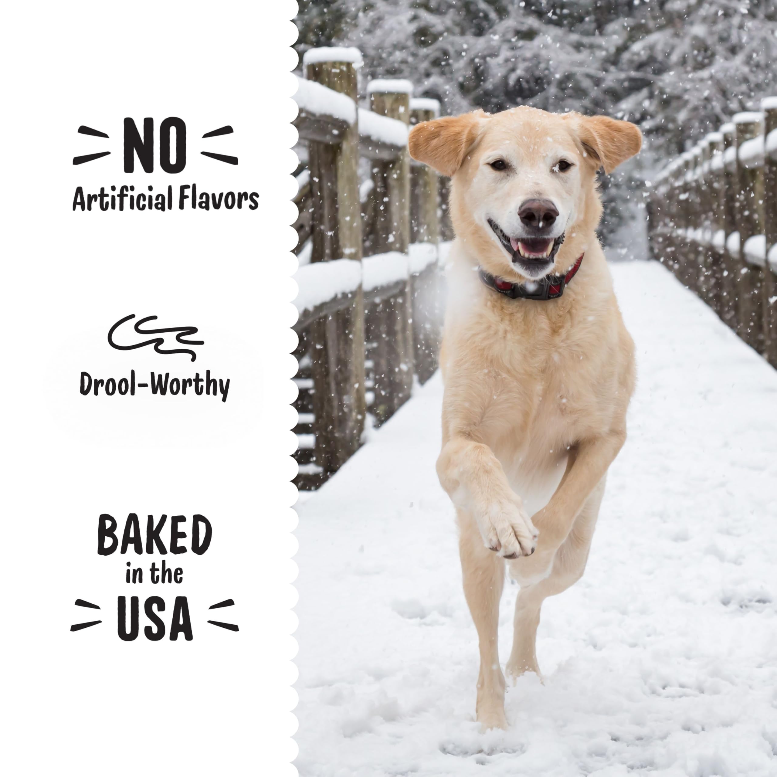 Three Dog Bakery CinnaMutt Roll Crunch, 5 oz Festive Dog Bones, Holiday & Christmas Dog Training Treats, Puppy Training Rewards