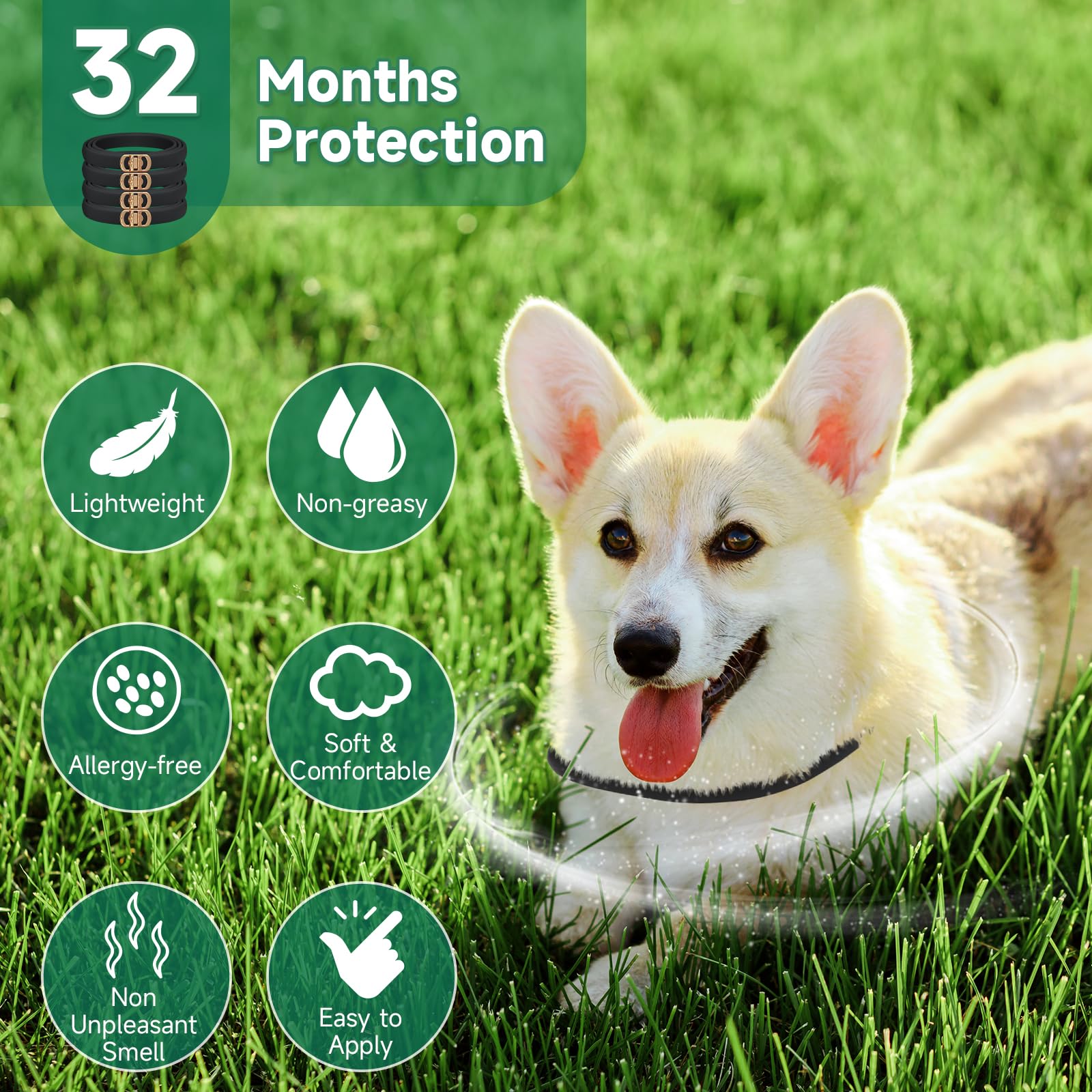 4 Pack Flea Collar for Dogs, Dog Flea and Tick Treatment, 8 Months Protection Flea and Tick Collar for Dogs, Waterproof Dog Flea