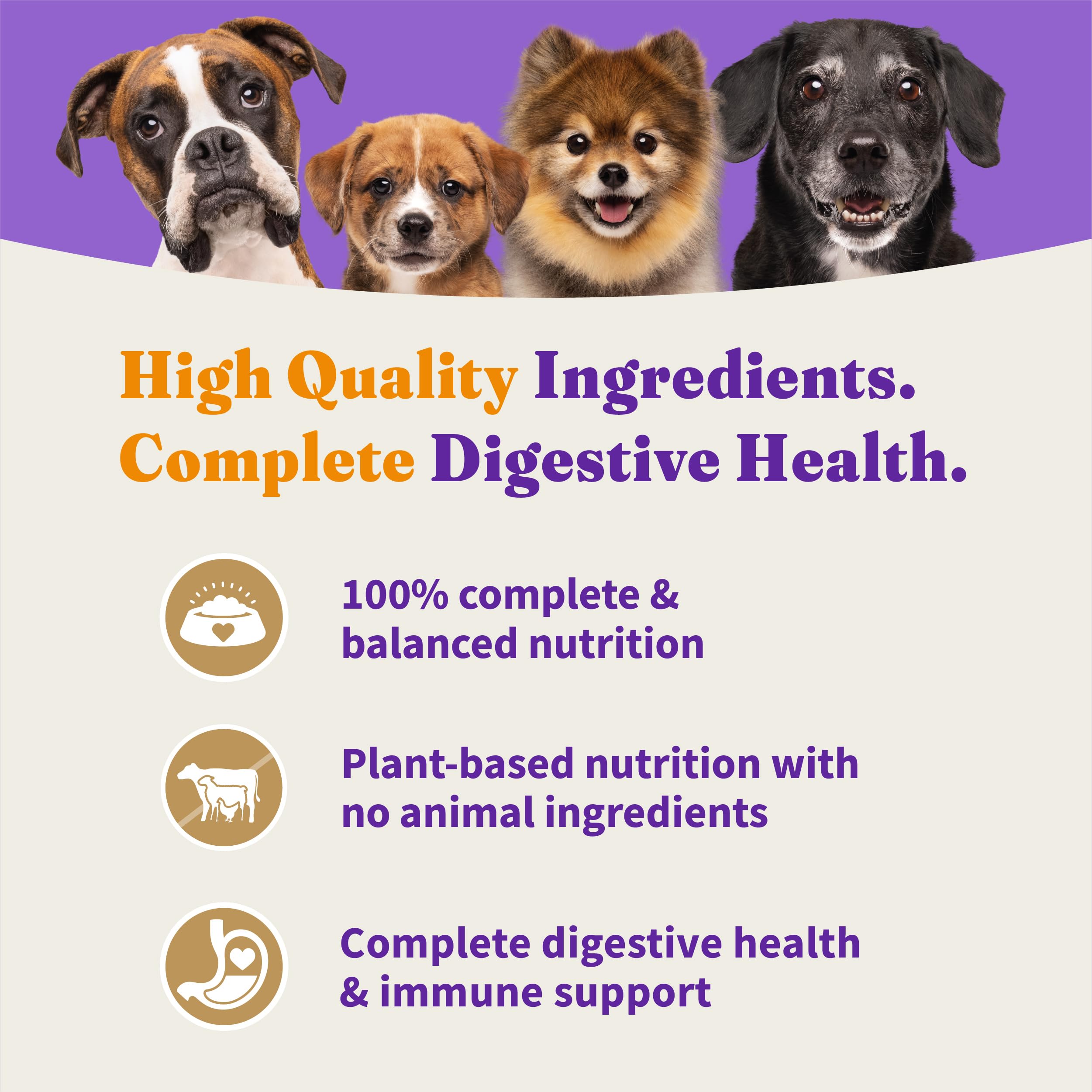 Halo Holistic Vegan Dog Food, Plant-Based Peanut Butter Recipe, Dry Dog Food, Complete Digestive Health, Kibble for Adult Dogs,