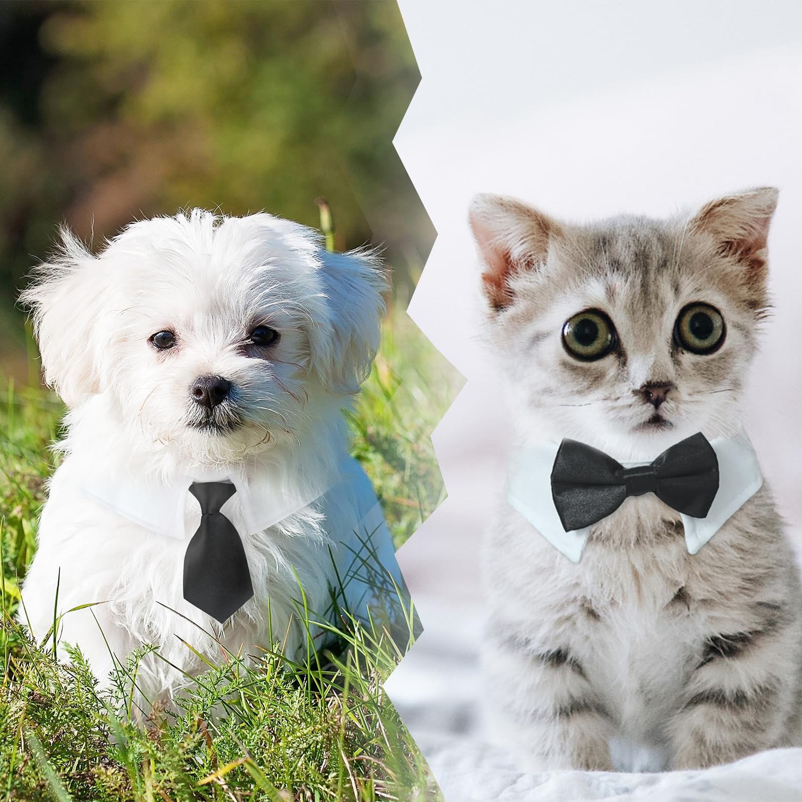 Cat Tuxedo, Koolmox Adjustable Suit White Collar With Formal Bows And Ties For Pet, Black Tiefor Small Medium Boy Cats Dogs Tuxedo Tux Outfits, Wedding Birthday Valentines Day Costumes, 2 Pack Black