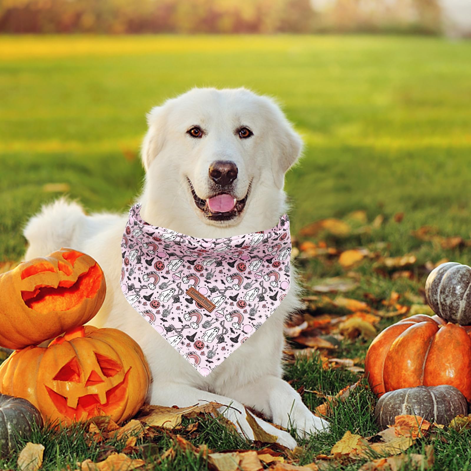 Lionheart Glory Dog Bandana Halloween 1 Pack Washable Soft Dog Scarf, Fall Bib Scarf Boy Girl Bandana Square Adjustable Dog Bandanas For Small To Large Dog