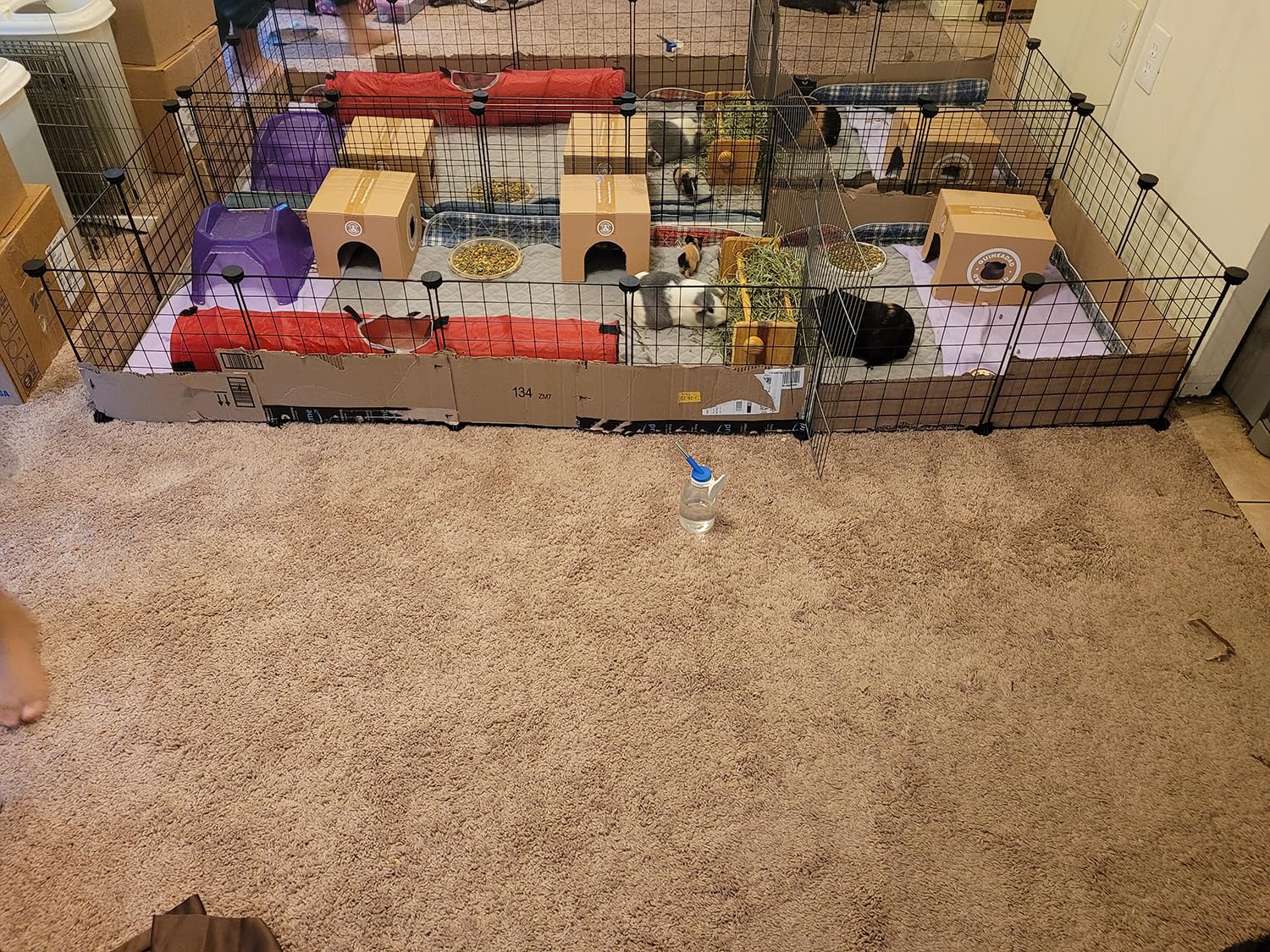 Langxun Rabbit Run,Puppy Pen With Door,Encrypted Wire Mesh Cages16 Panels Indoor/Outdoor Diy Metal Pet Fence For Puppy,Rabbit,Kitten,Hamster,Guinea Pig,Turtle,Hedgehog.Black