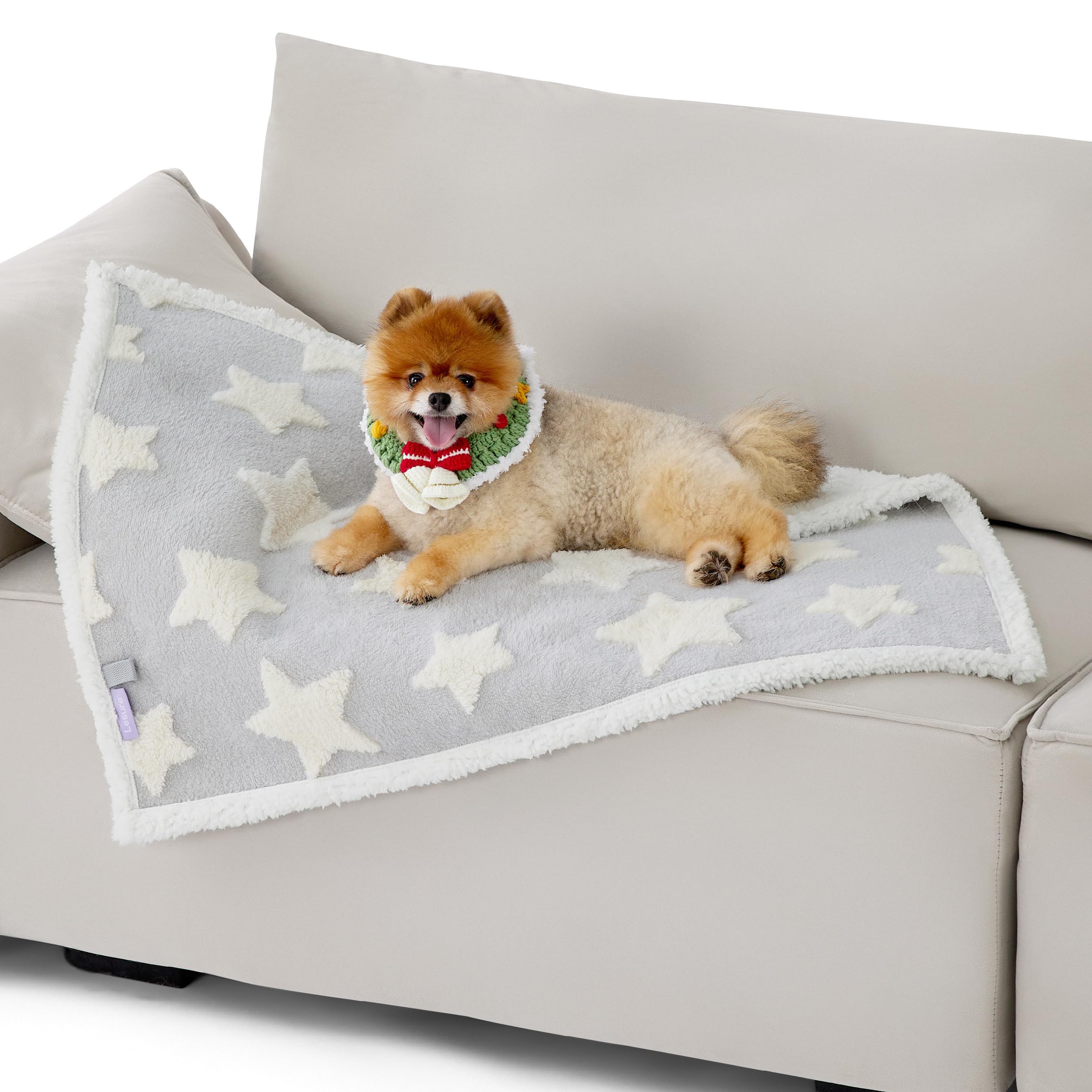 Lesure Waterproof Dog Blanket For Small Dogs - Washable Double Sided Dog Blankets With Warm Jacquard Shag And Soft Sherpa Fleece