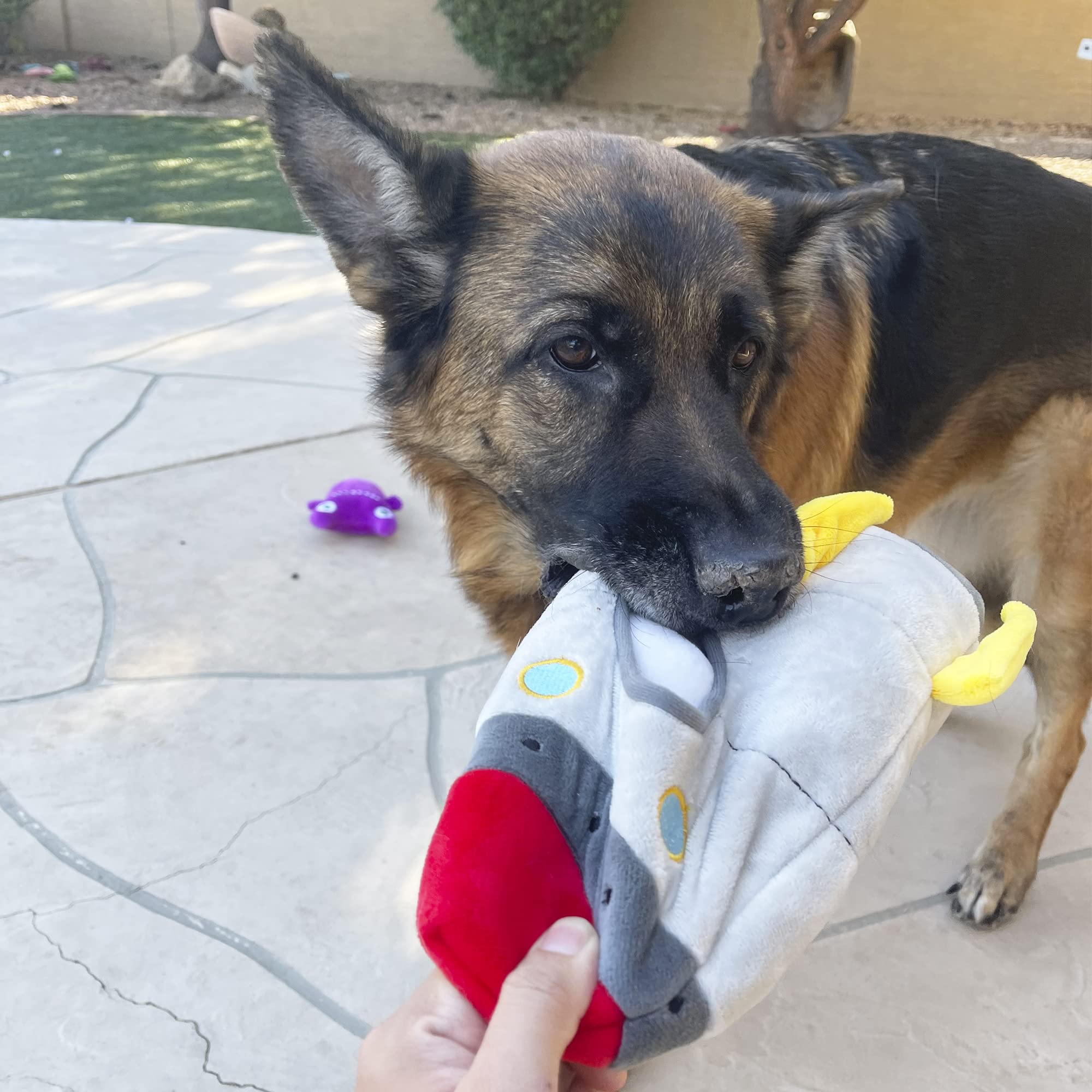 Jalousie Multipack Dog Squeaky Toys Strong Almost Indestructible, With Added Liner For Longer Play Dog Chew Toys (6 Pack Spacesh