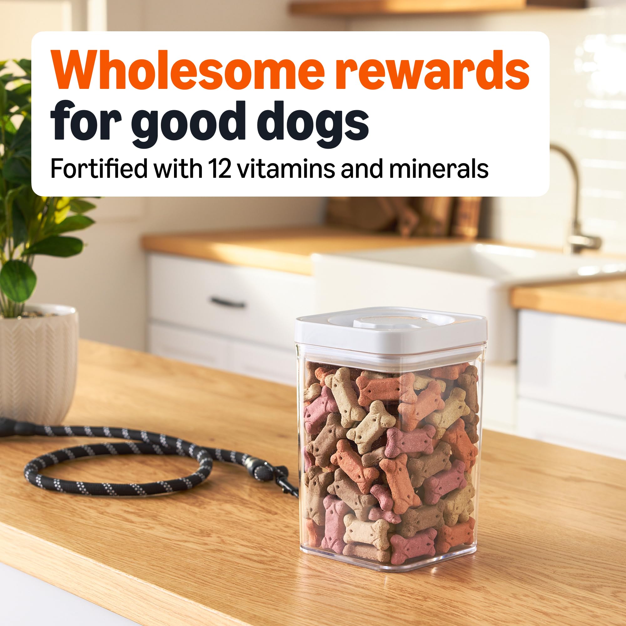 Amazon Basics Crunchy Dog Biscuits, Multi Flavor Treats, 5 lb. Box