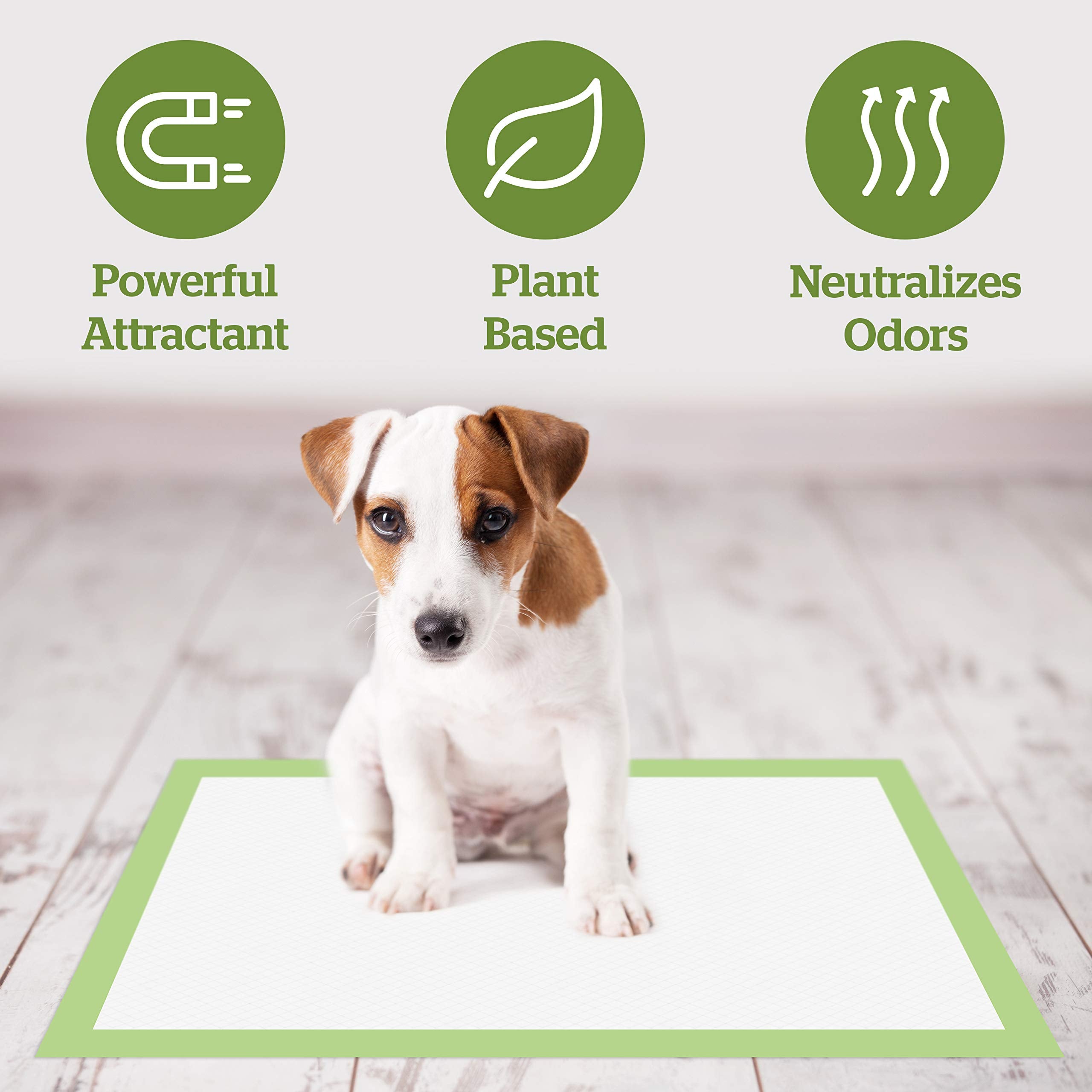 Pogi'S Dog Training Pads With Adhesive Sticky Tabs (20-Count) (24X24In) - Large Puppy Pads, Earth-Friendly Dog Pads, Plant-Based Puppy Pee Pads For Dogs - Puppy Supplies For Small To Large Sized Dogs