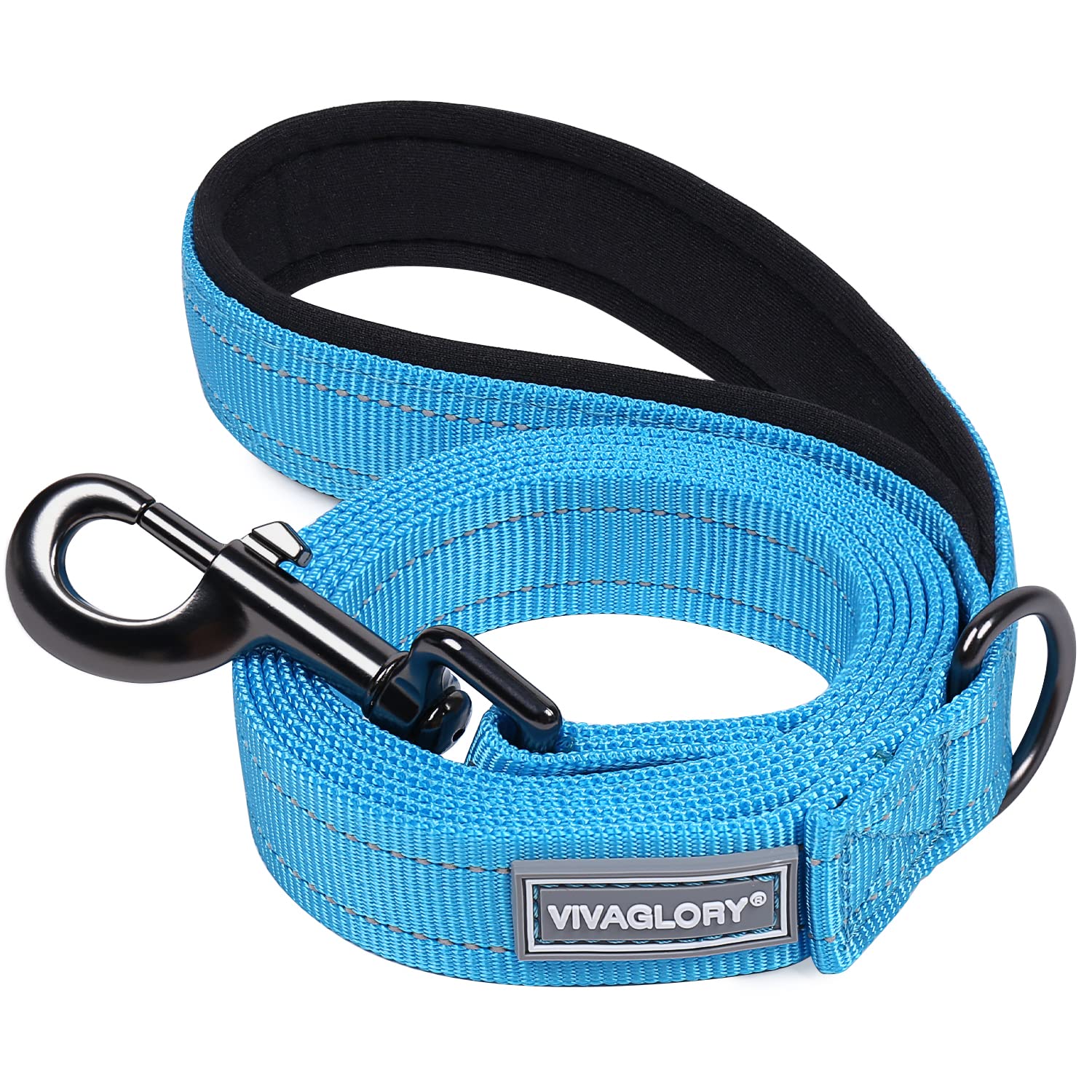 VIVAGLORY Dog Leash - 5ft Heavy Duty Nylon Training Leash with Padded Handle, Reflective Safety, Lake Blue for Medium & Large Dogs