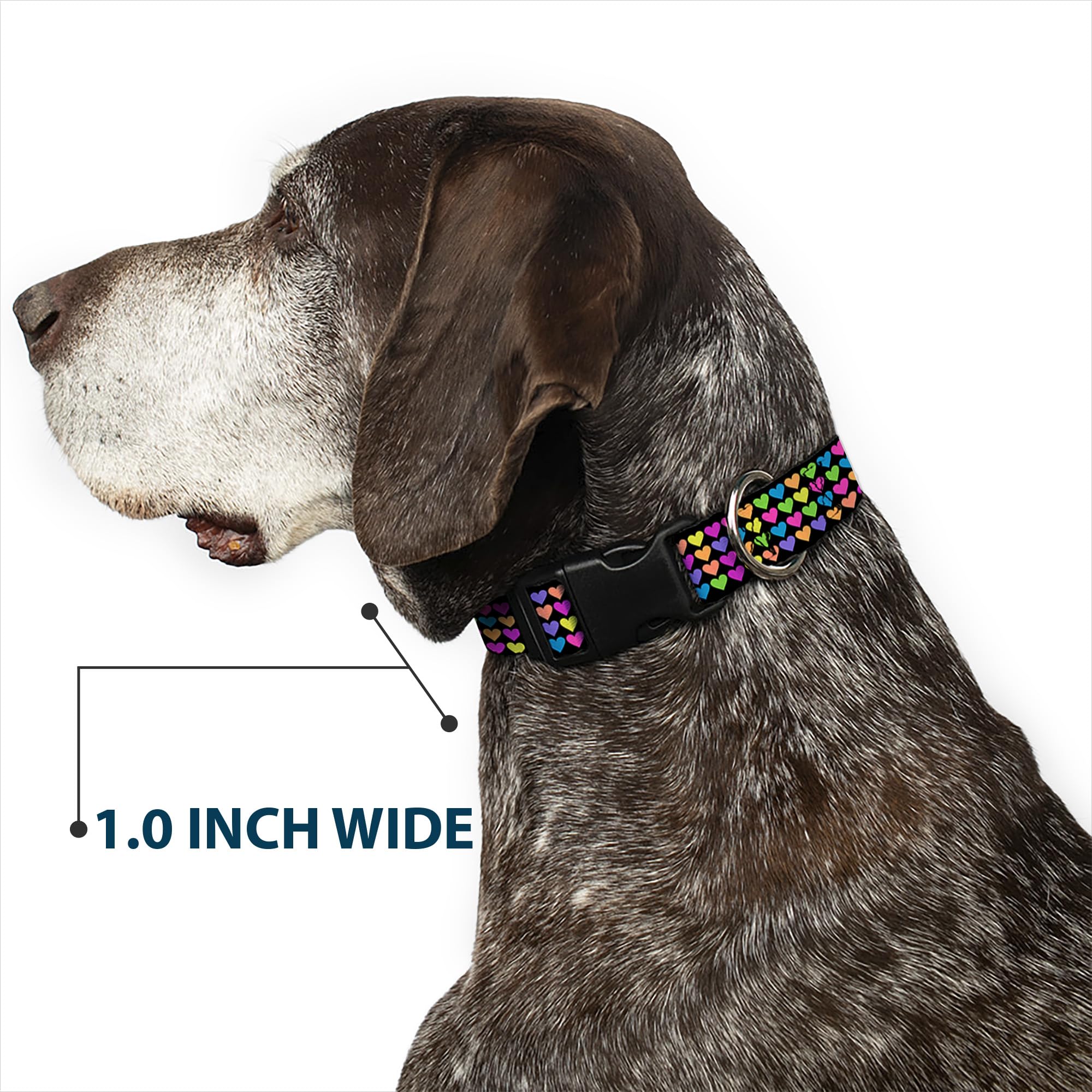 Buckle-Down Plastic Clip Collar - Mini Hearts Black/Multi Neon - 1.5 Wide - Fits 16-23 Neck - Medium